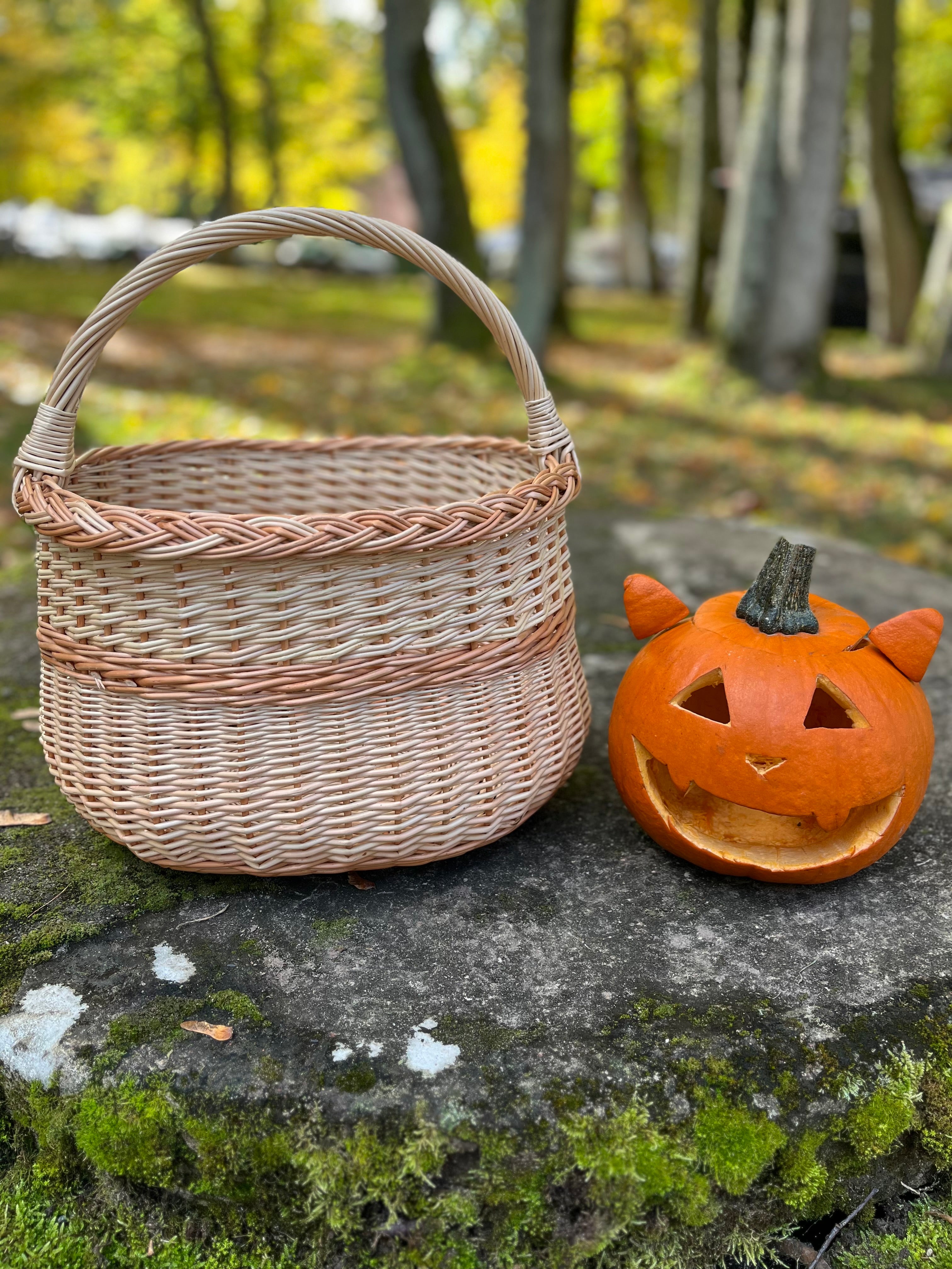 Handwoven Wicker Basket