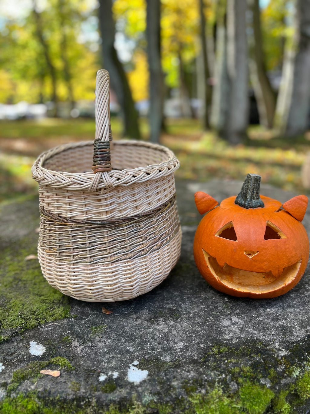 Handwoven Wicker Basket