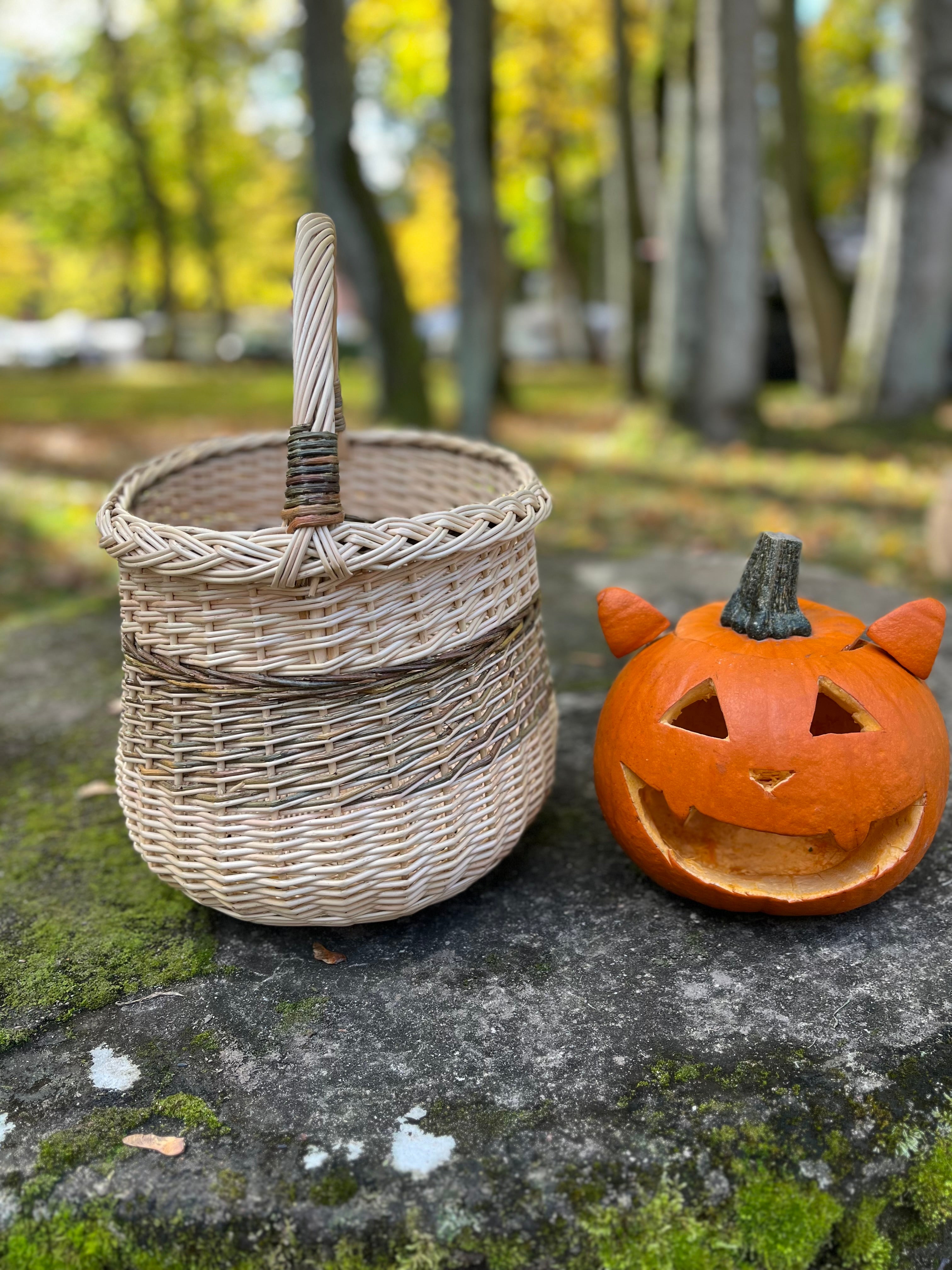 Handwoven Wicker Basket