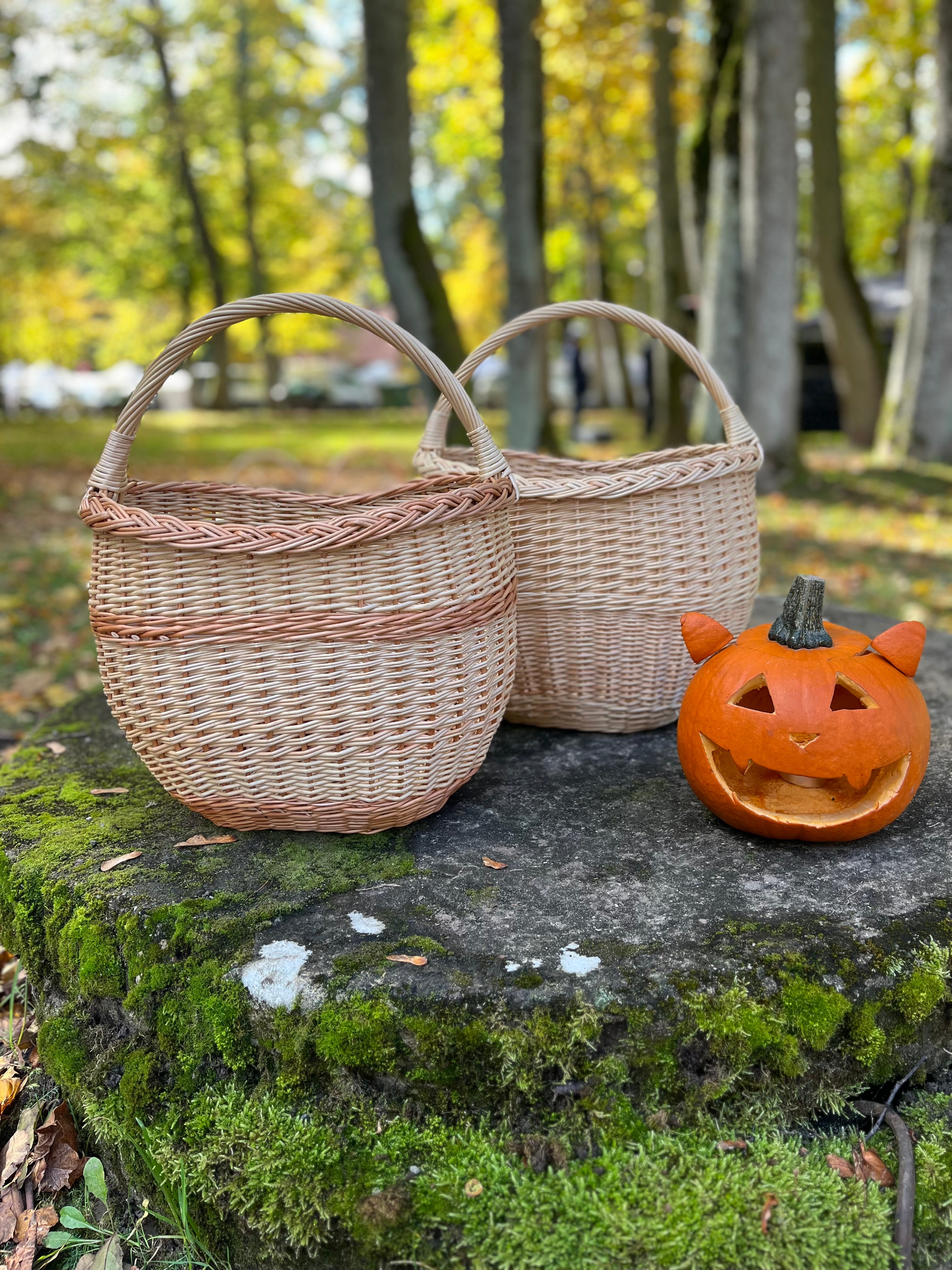 Round Wicker Basket with Central Handle