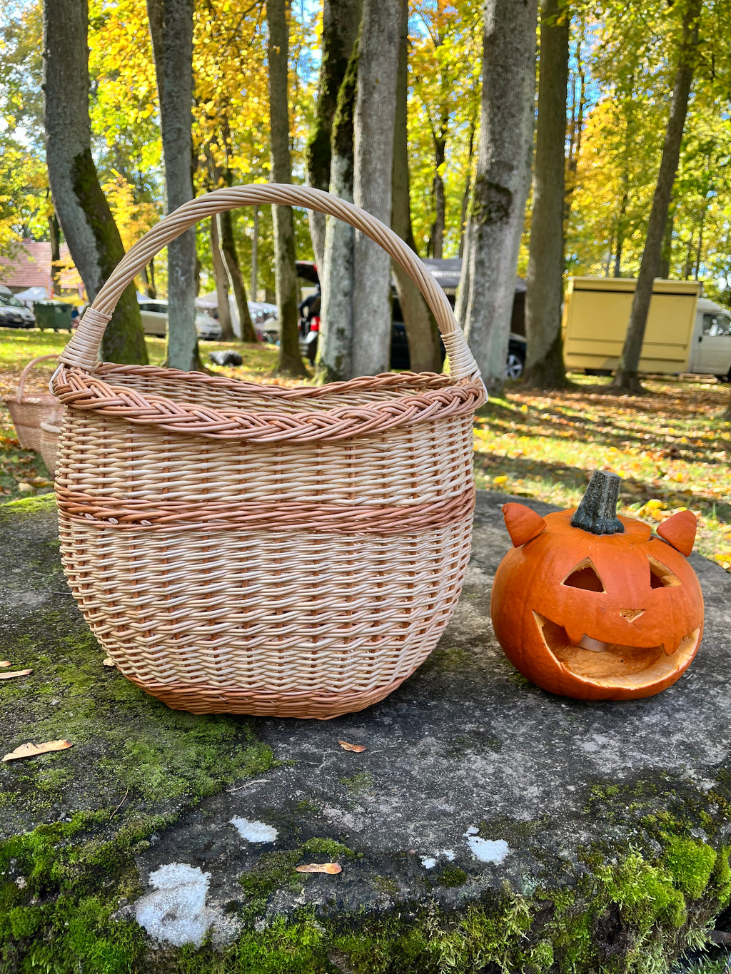 Round Wicker Basket with Central Handle