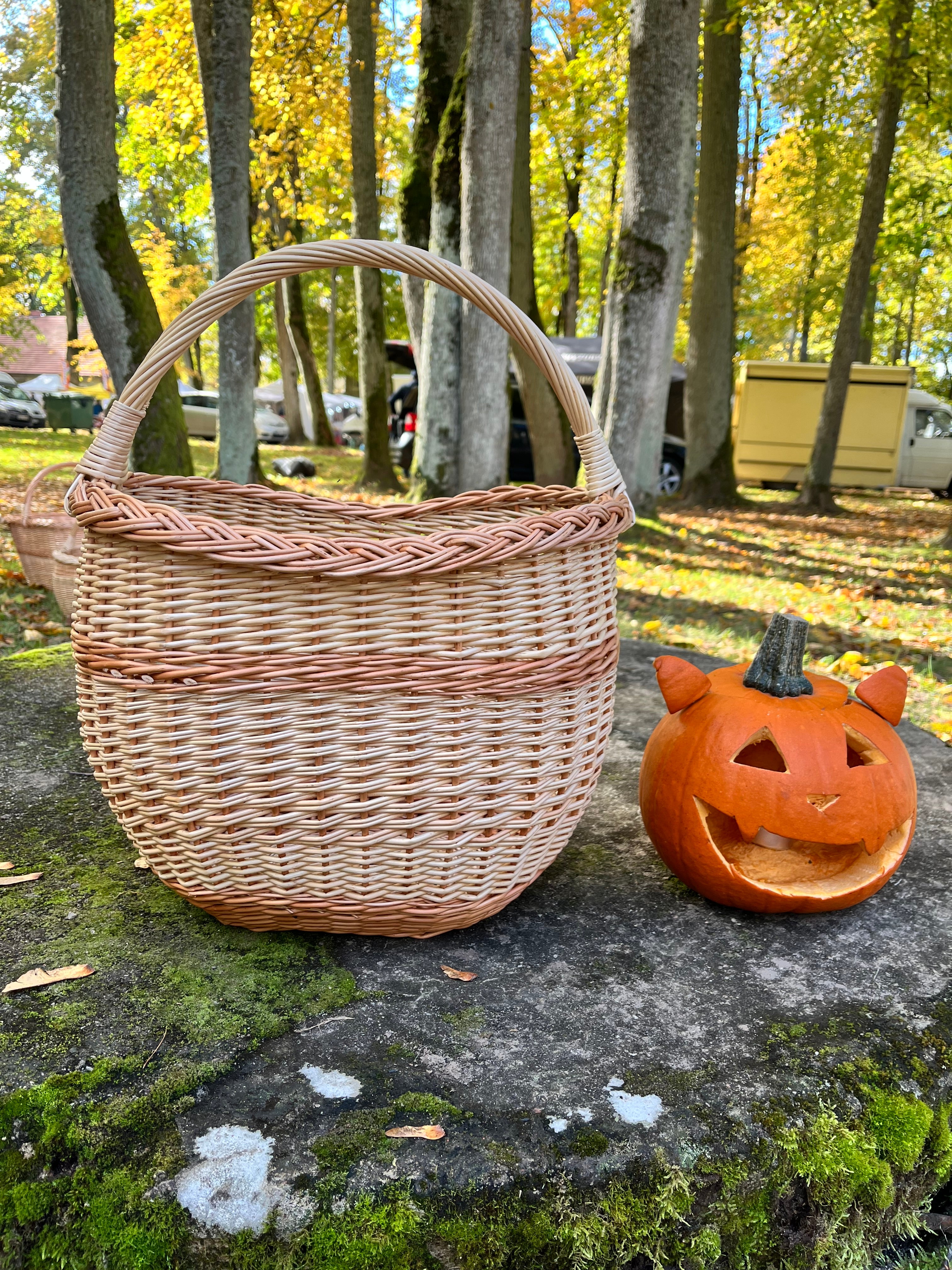 Round Wicker Basket with Central Handle