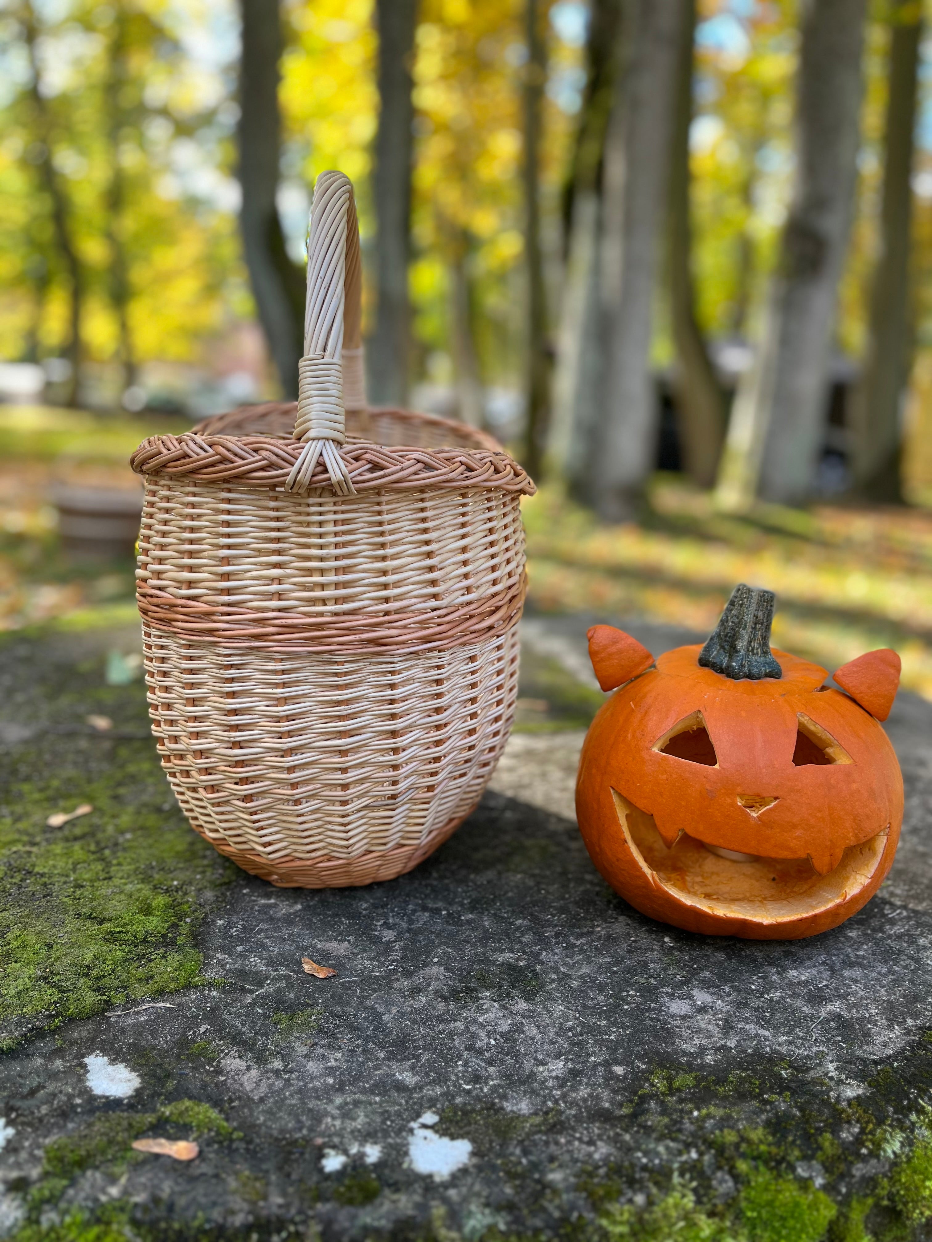 Round Wicker Basket with Central Handle