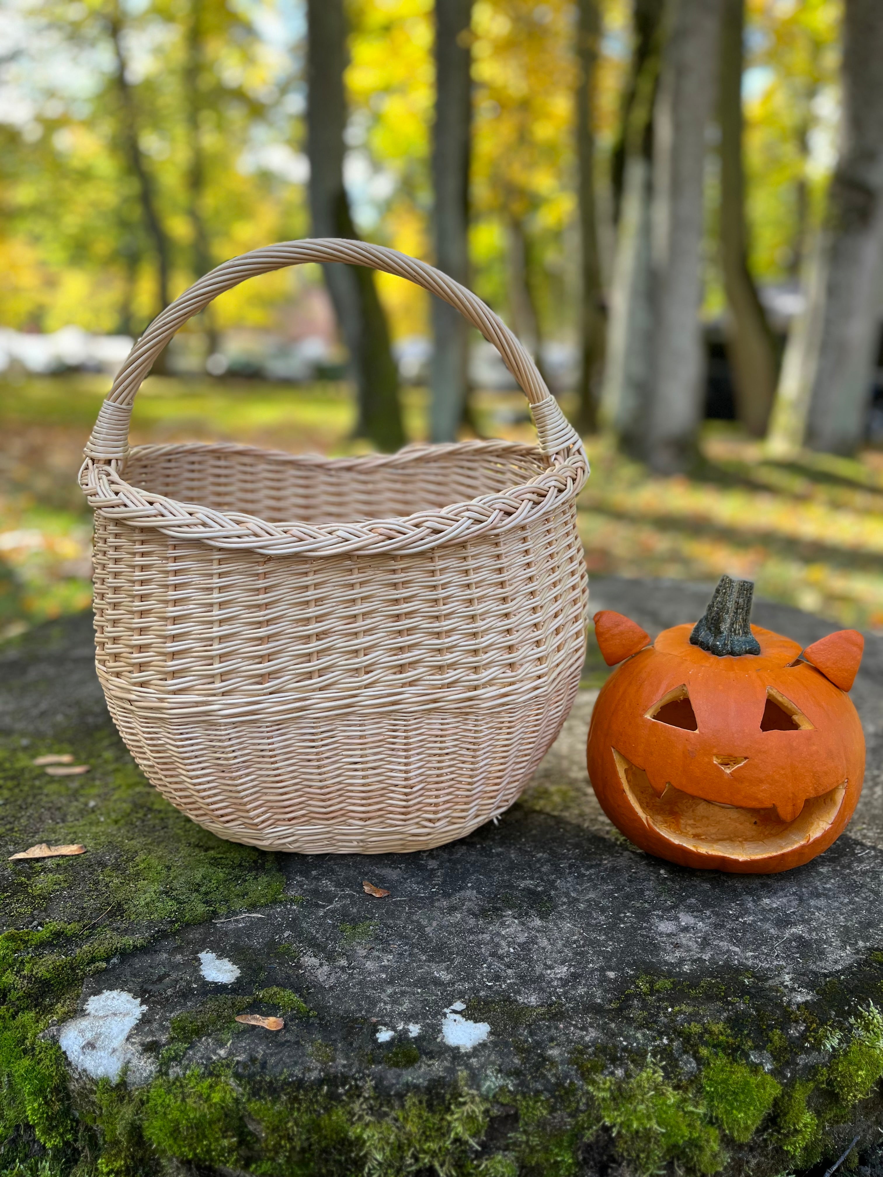Round Wicker Basket with Central Handle