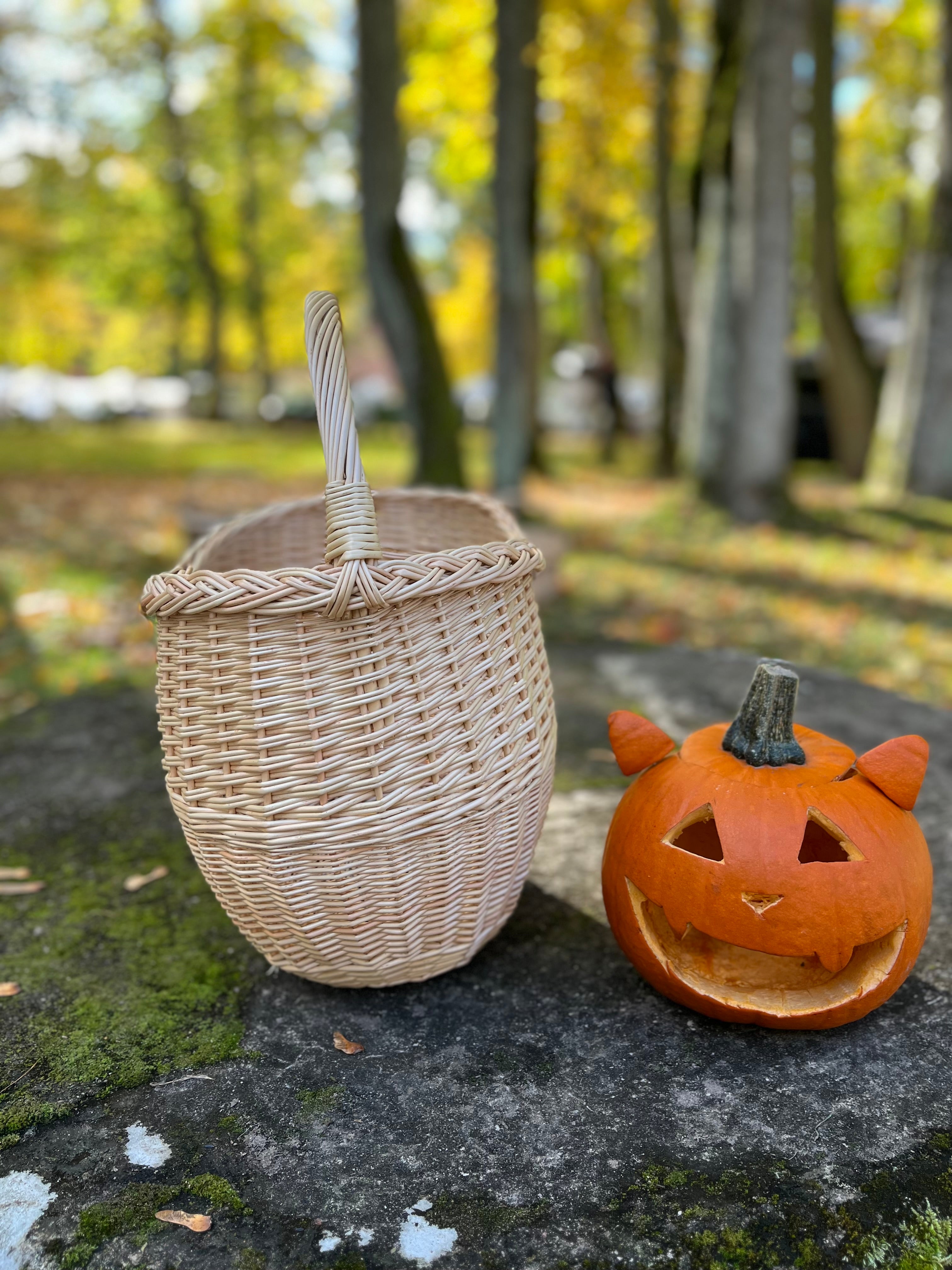 Round Wicker Basket with Central Handle