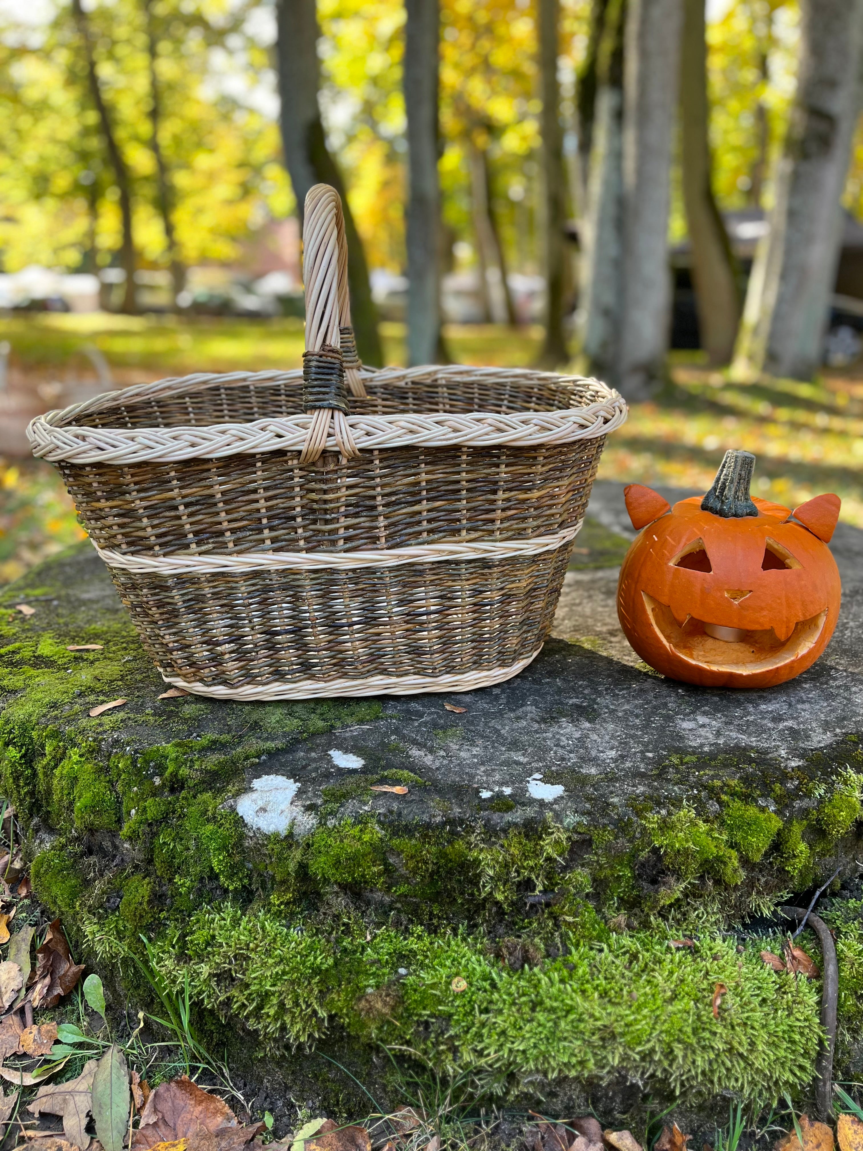 Large Rustic Decorative Wicker Basket