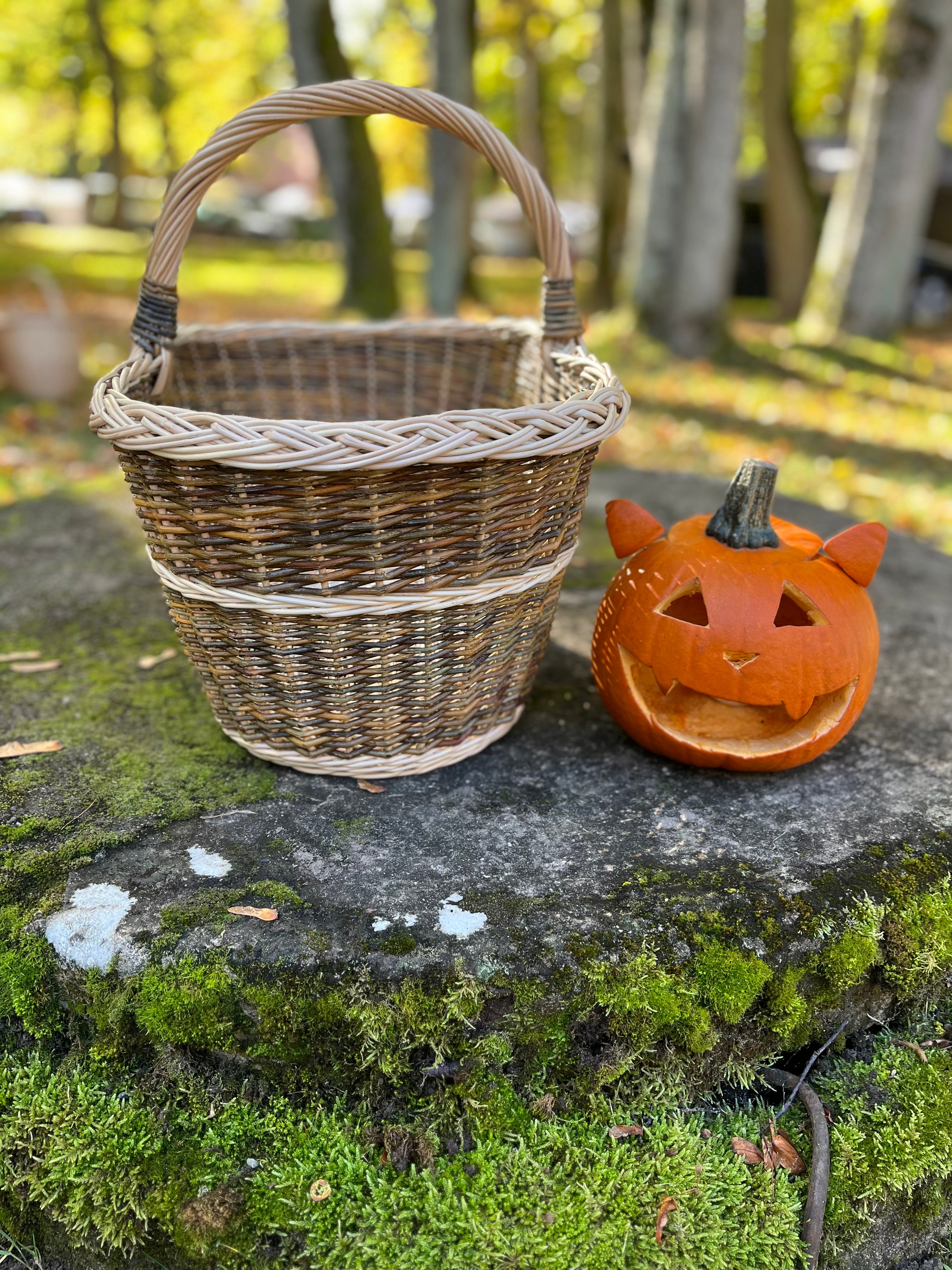 Large Rustic Decorative Wicker Basket