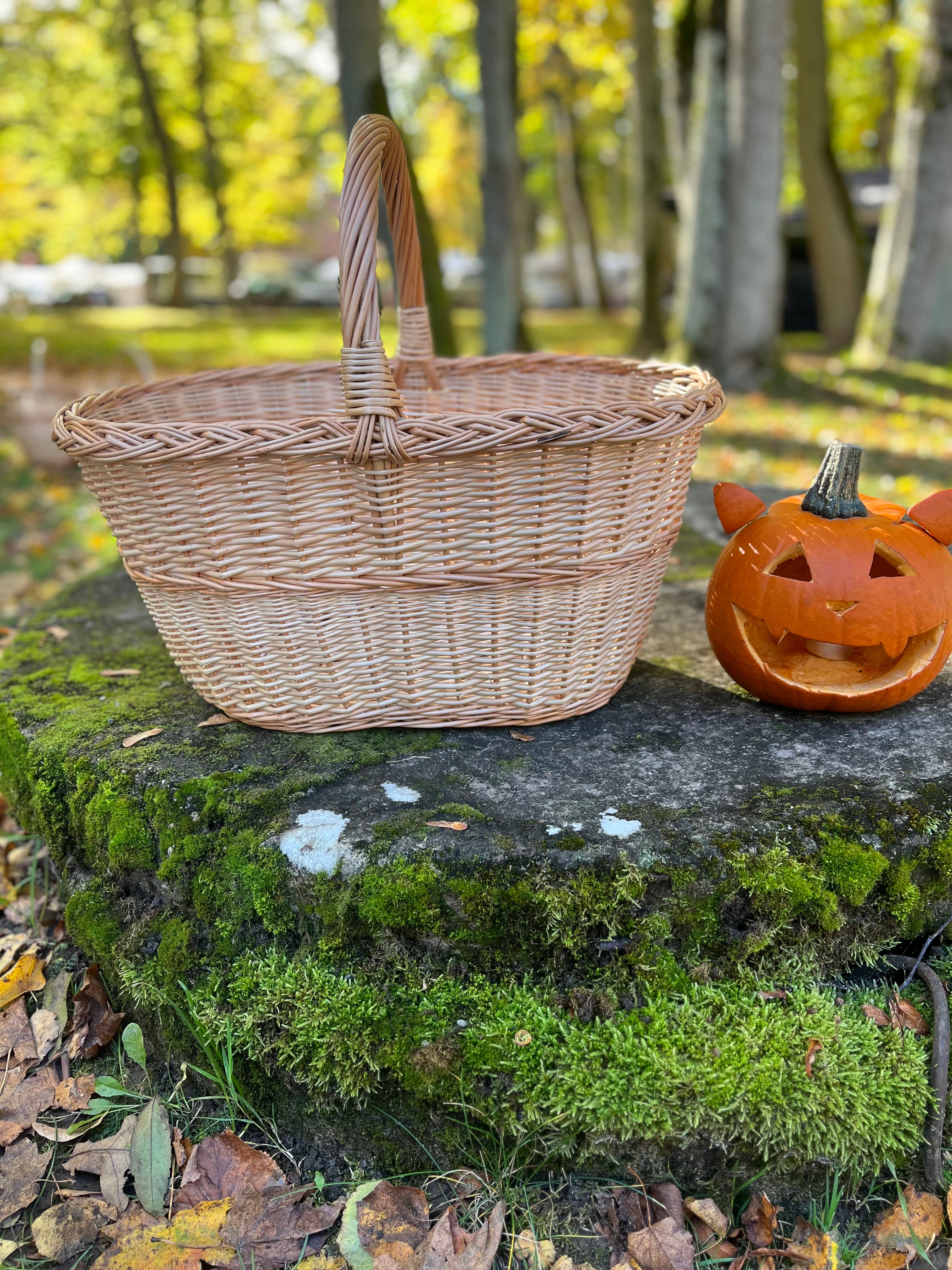 Large Rustic Decorative Wicker Basket