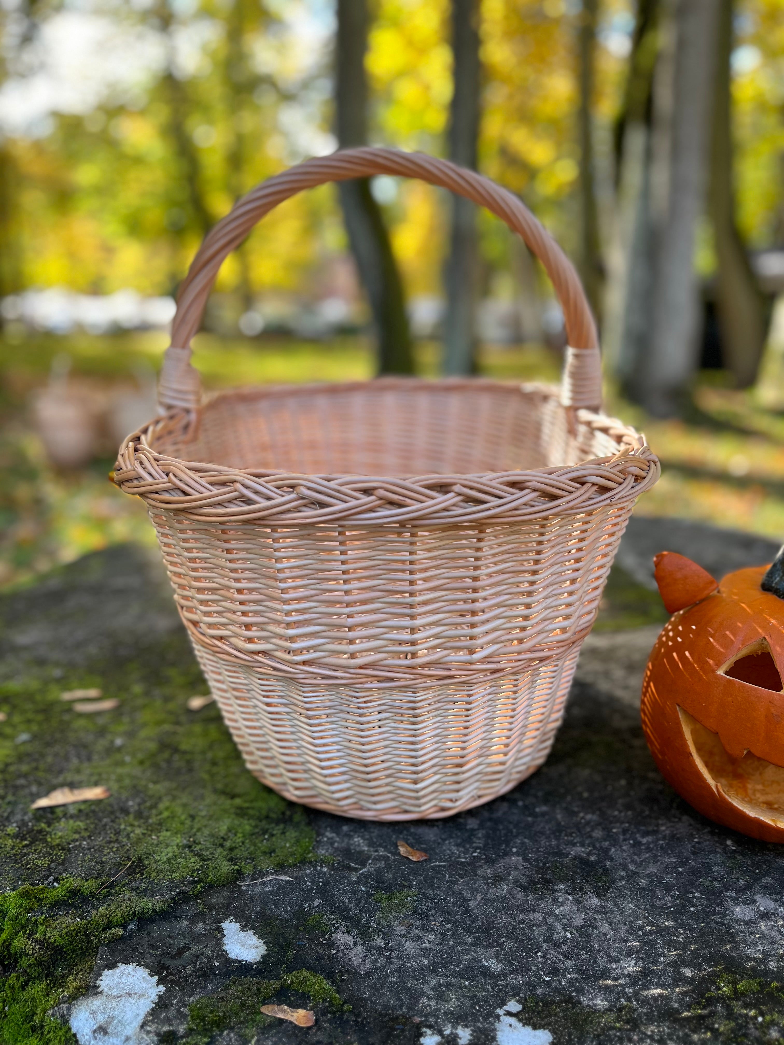 Large Rustic Decorative Wicker Basket