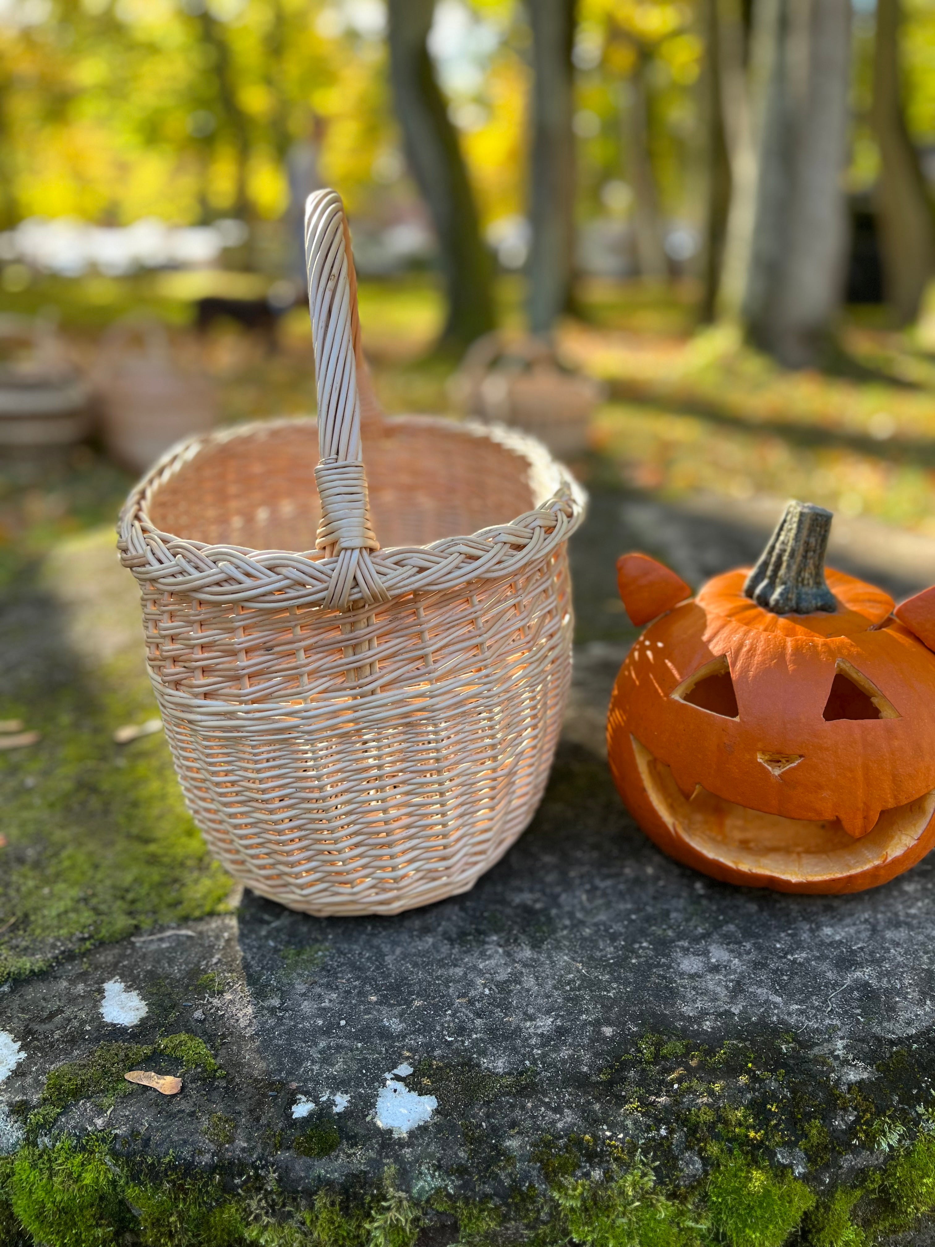 Handwoven Willow Basket