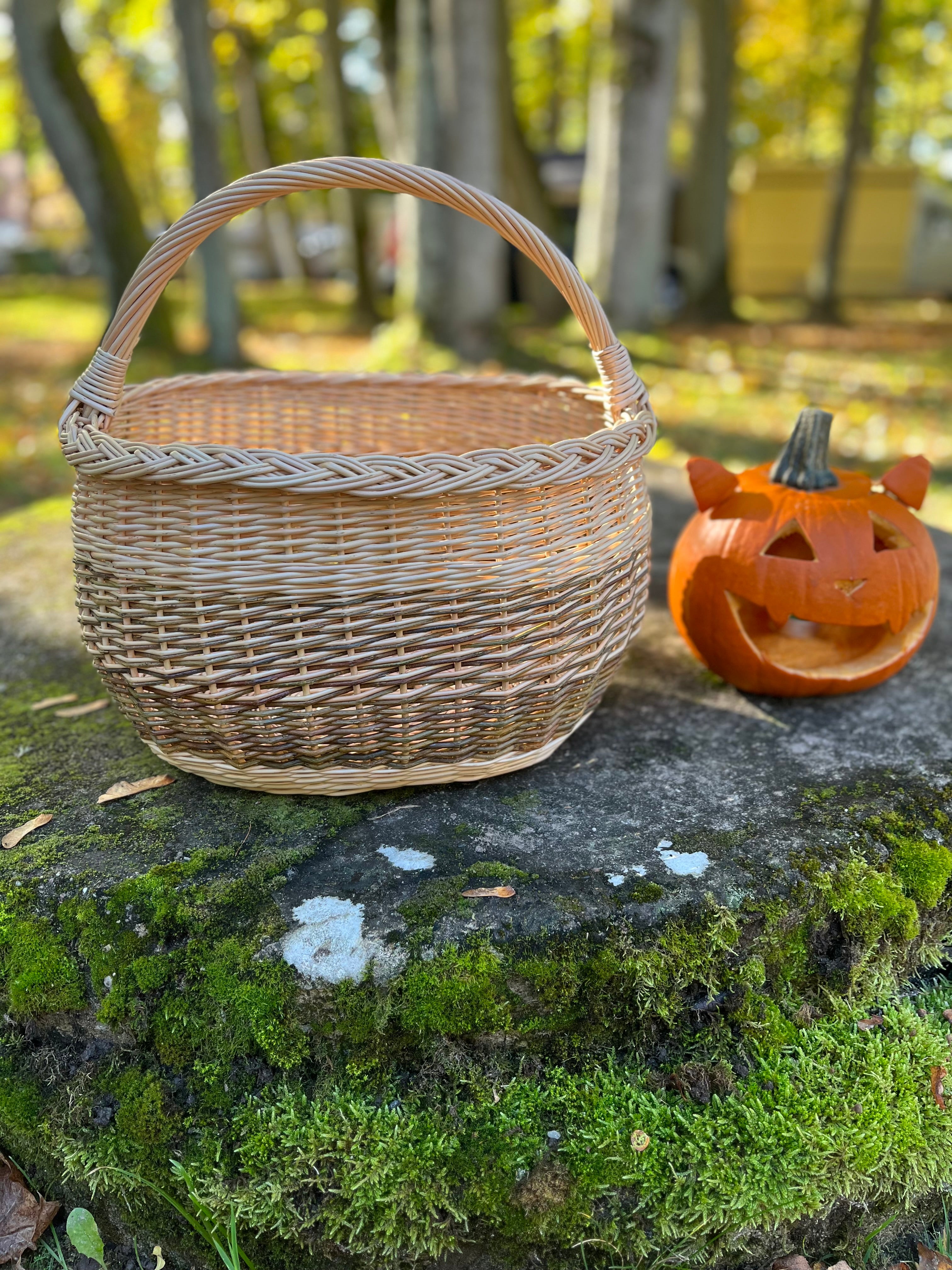 Rustic Handwoven Wicker Basket