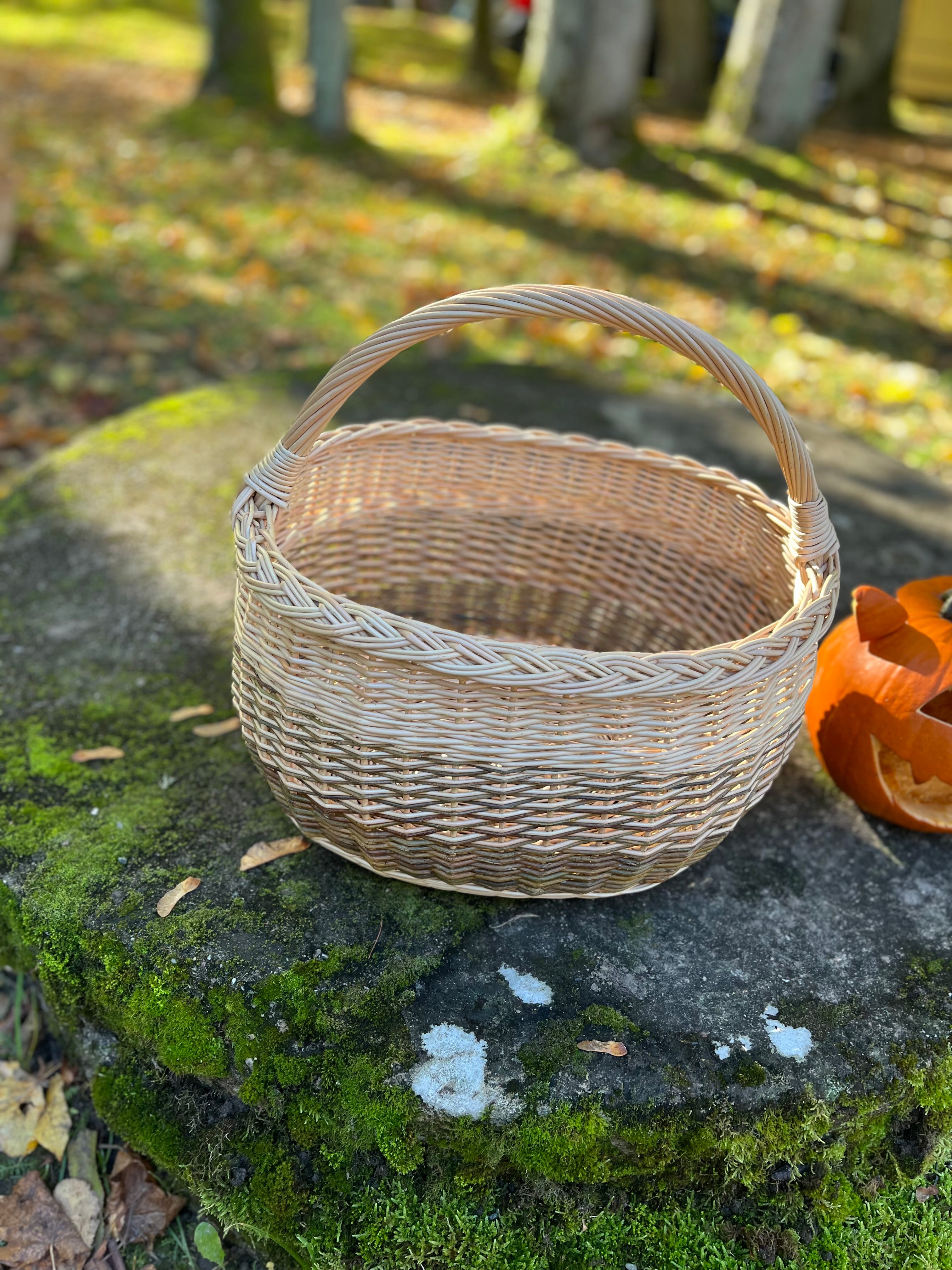 Rustic Handwoven Wicker Basket