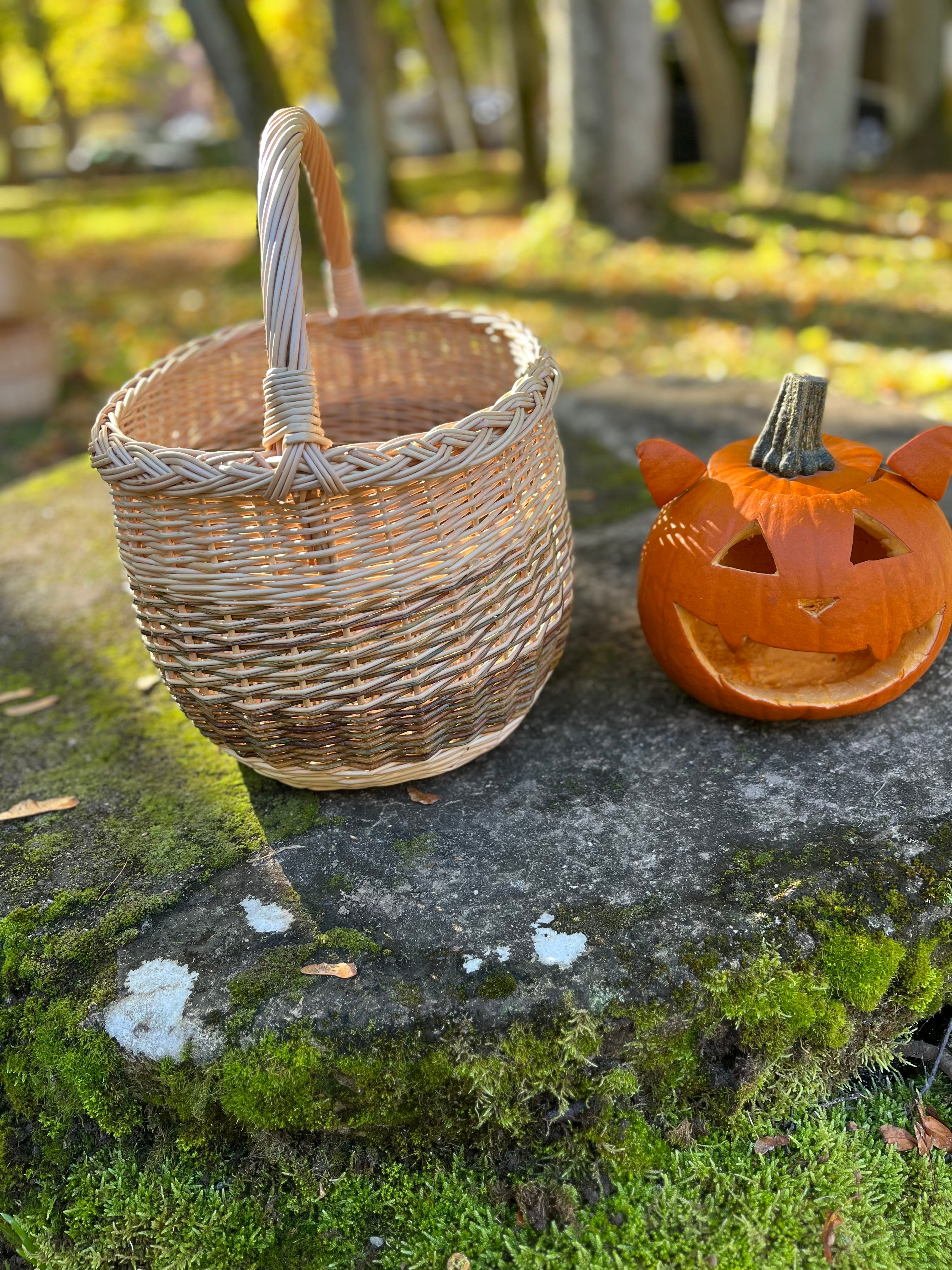 Rustic Handwoven Wicker Basket
