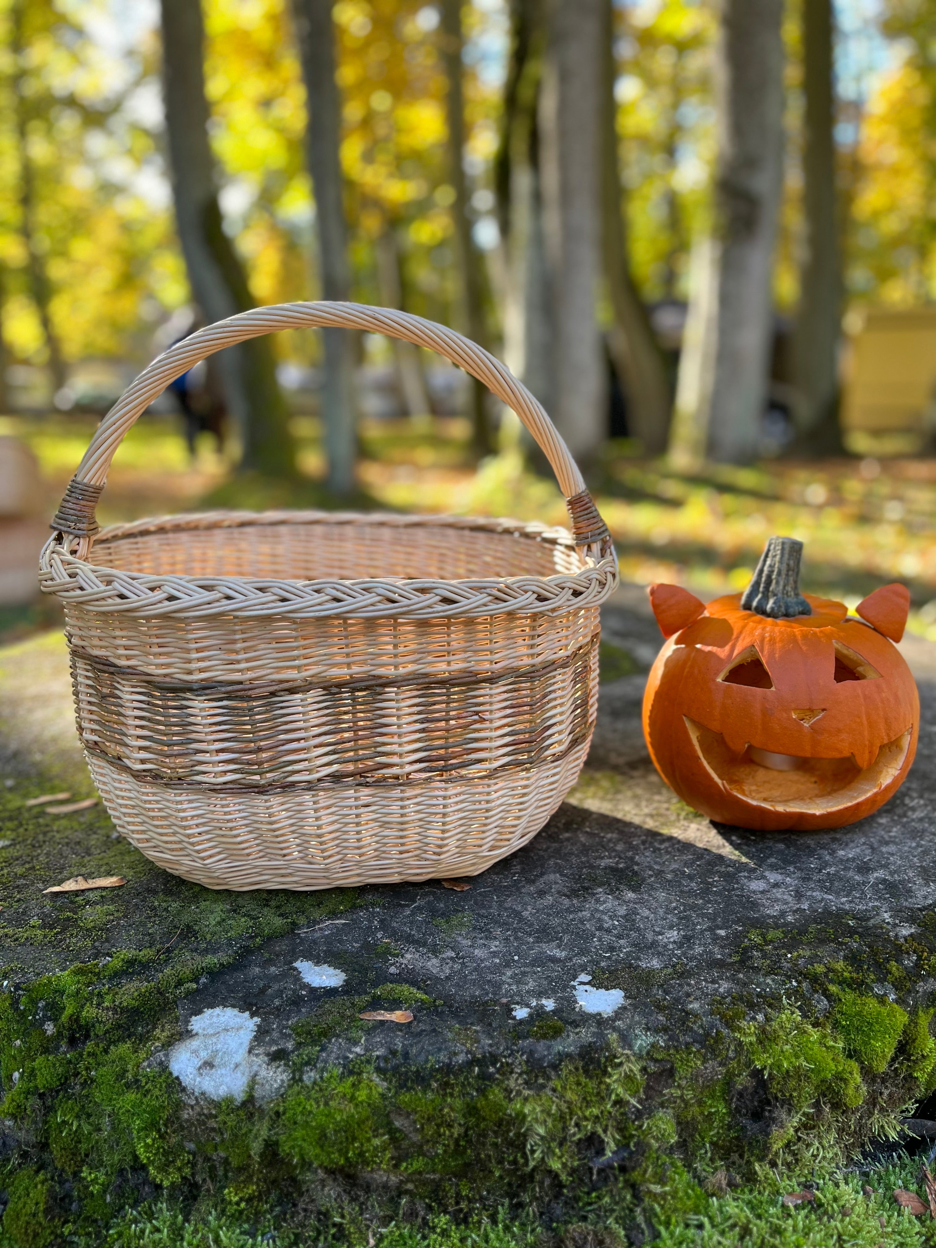 Rustic Handwoven Wicker Basket