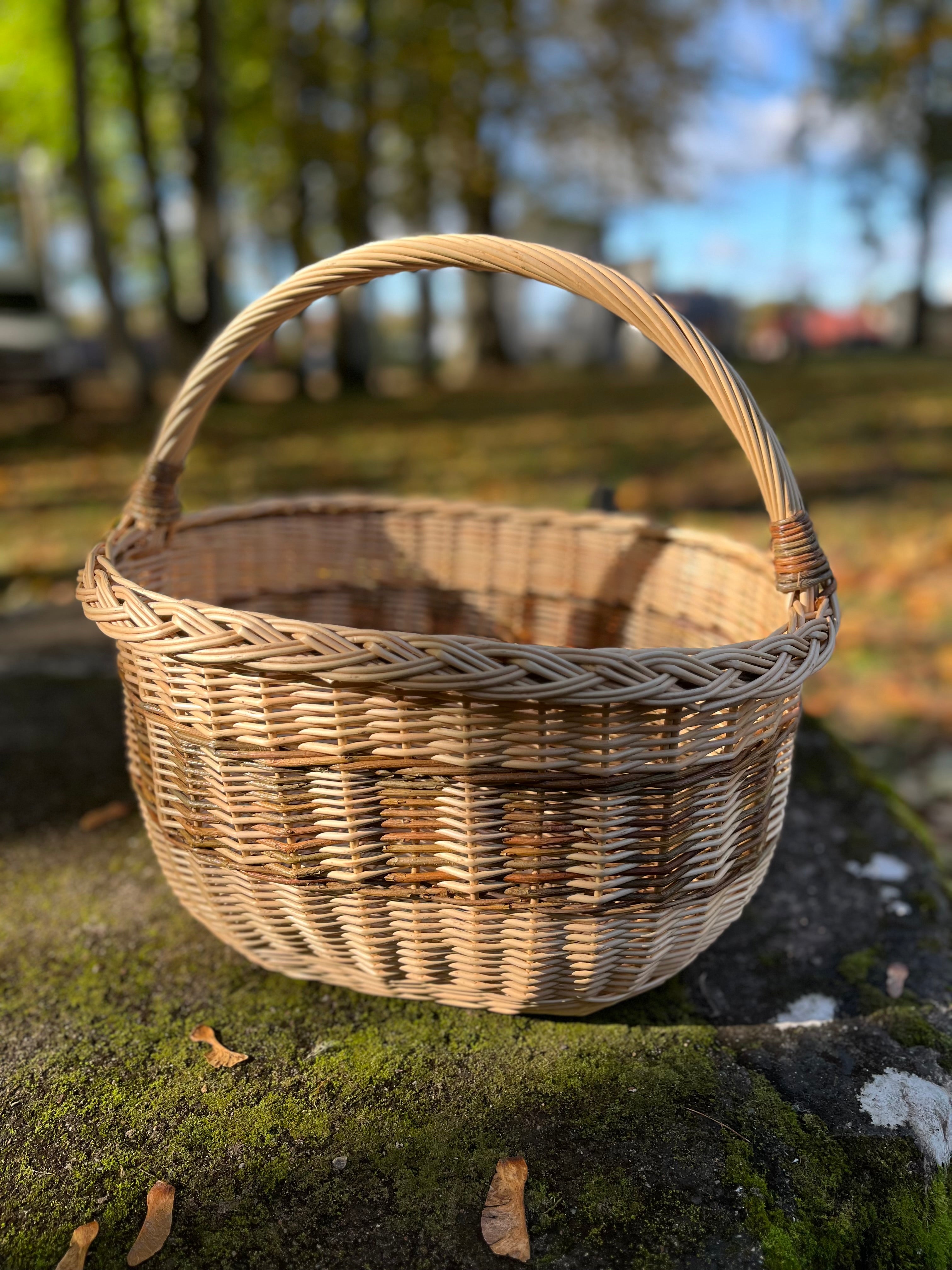 Rustic Handwoven Wicker Basket