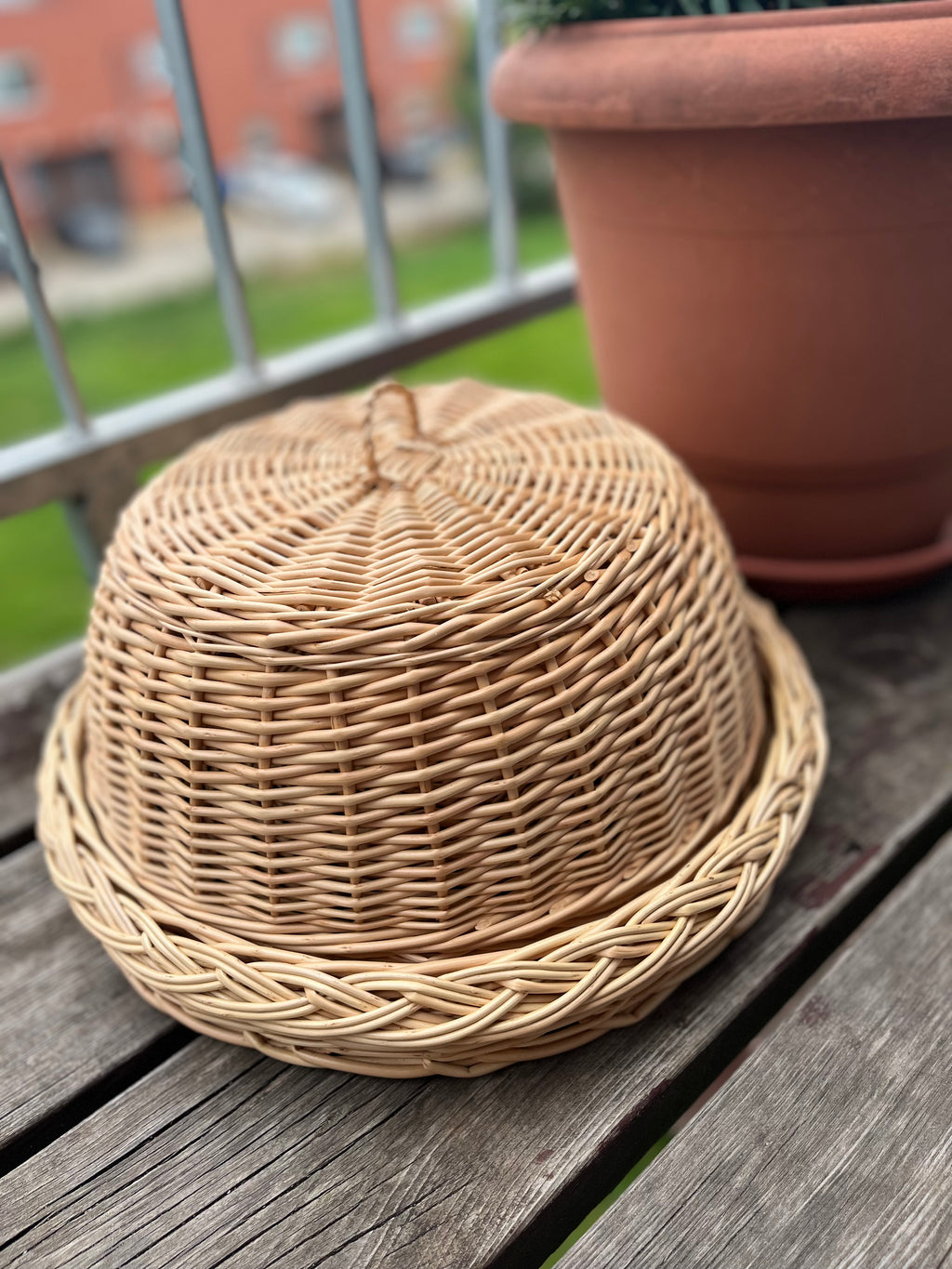Wicker Food Cloche with Round Tray