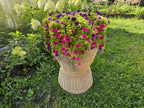 Display Basket 001r