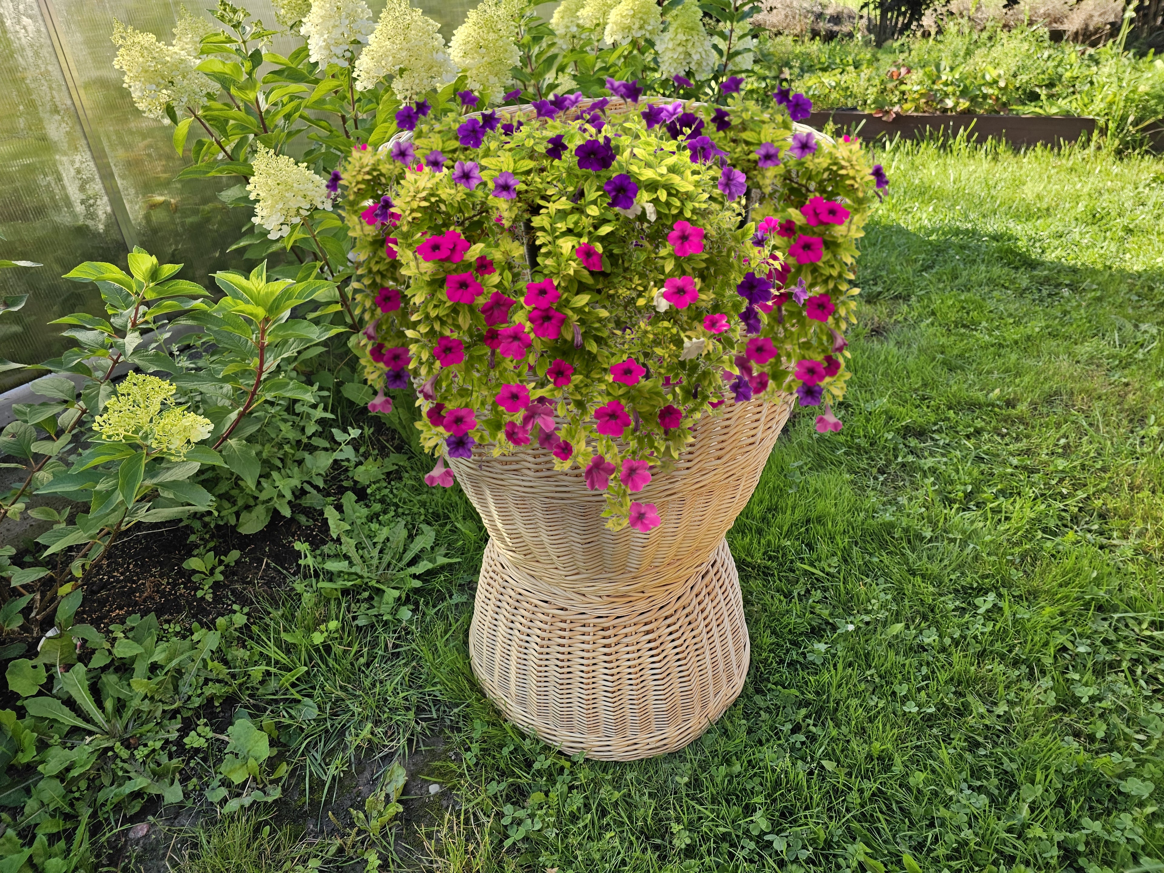 Display Basket 001r