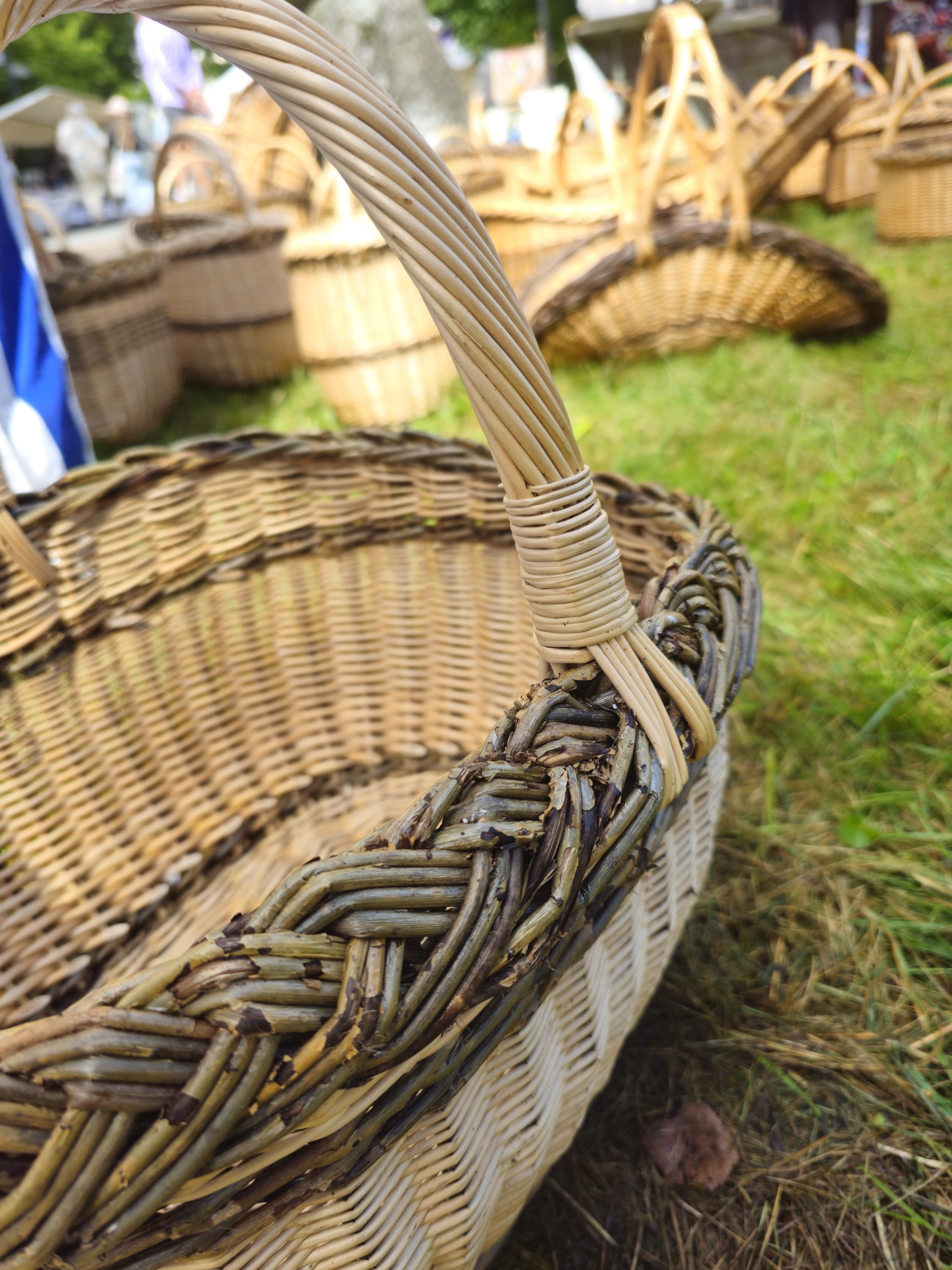 Wicker Oval Basket with Braided Rim