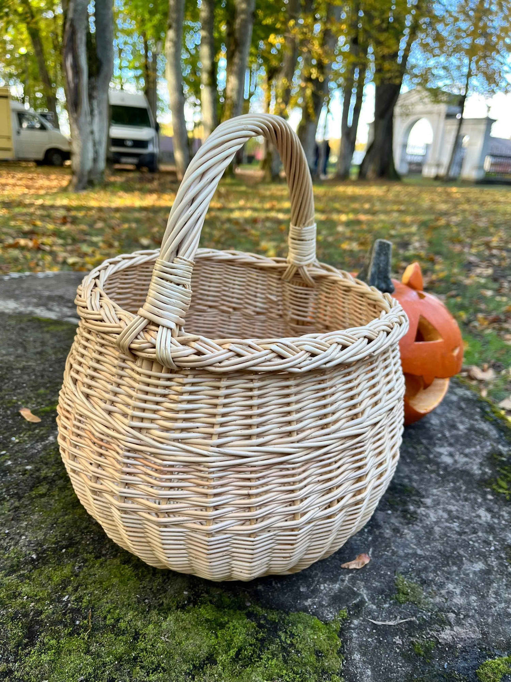 Wicker basket 049b - NaturelyWoven wicker - handmade