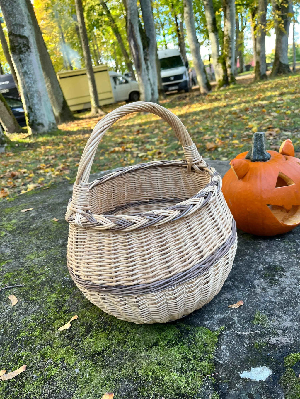 Wicker basket 049b - NaturelyWoven wicker - handmade