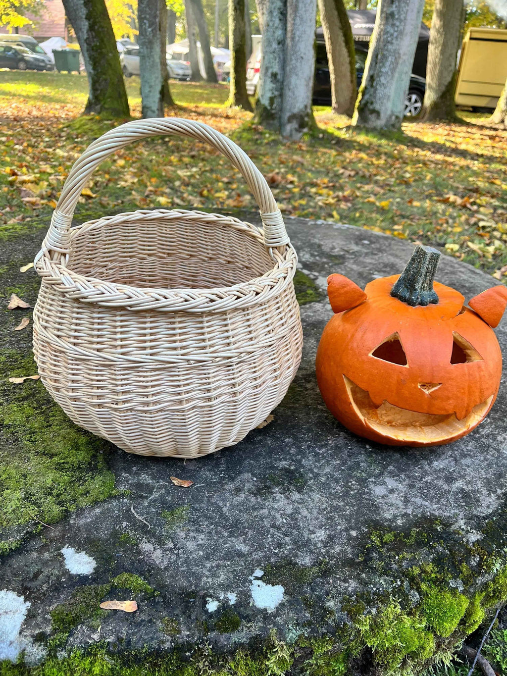 Wicker basket 049b - NaturelyWoven wicker - handmade