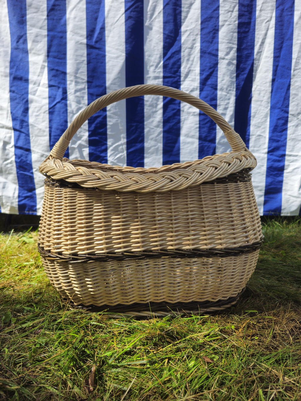 Wicker Oval Basket with Braided Rim