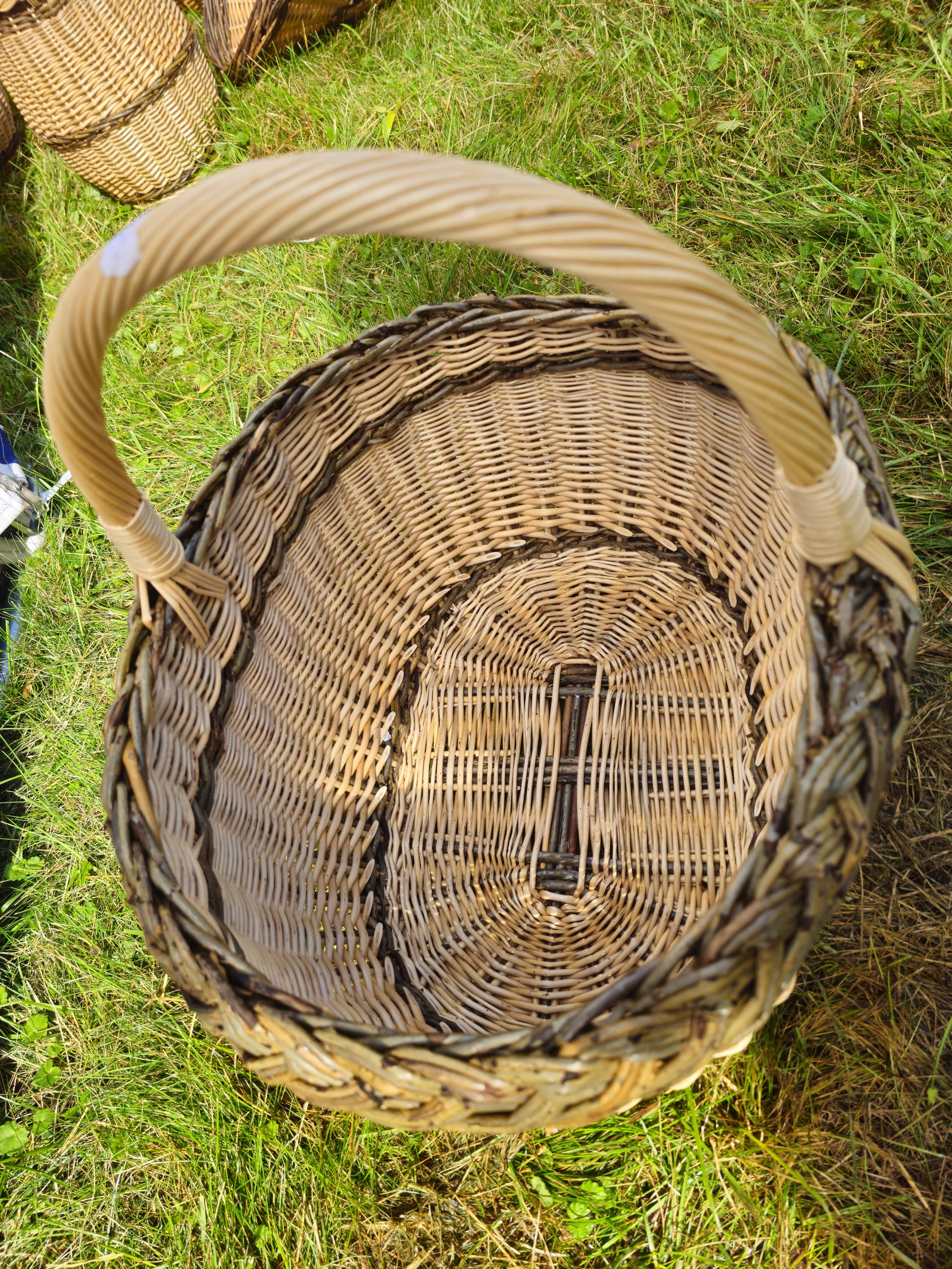 Wicker Oval Basket with Braided Rim