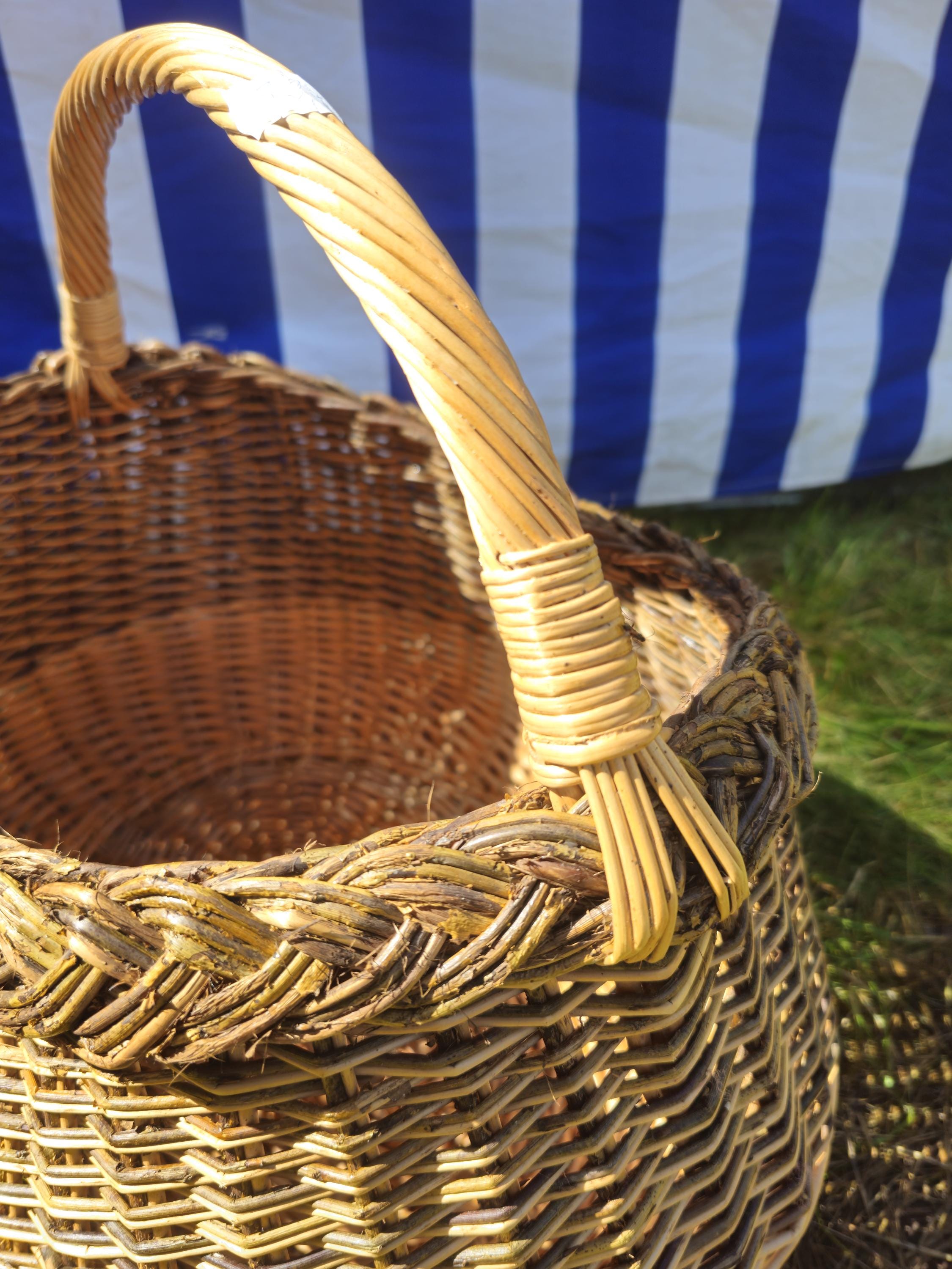 Wicker Mushroom Basket with Braided Rim