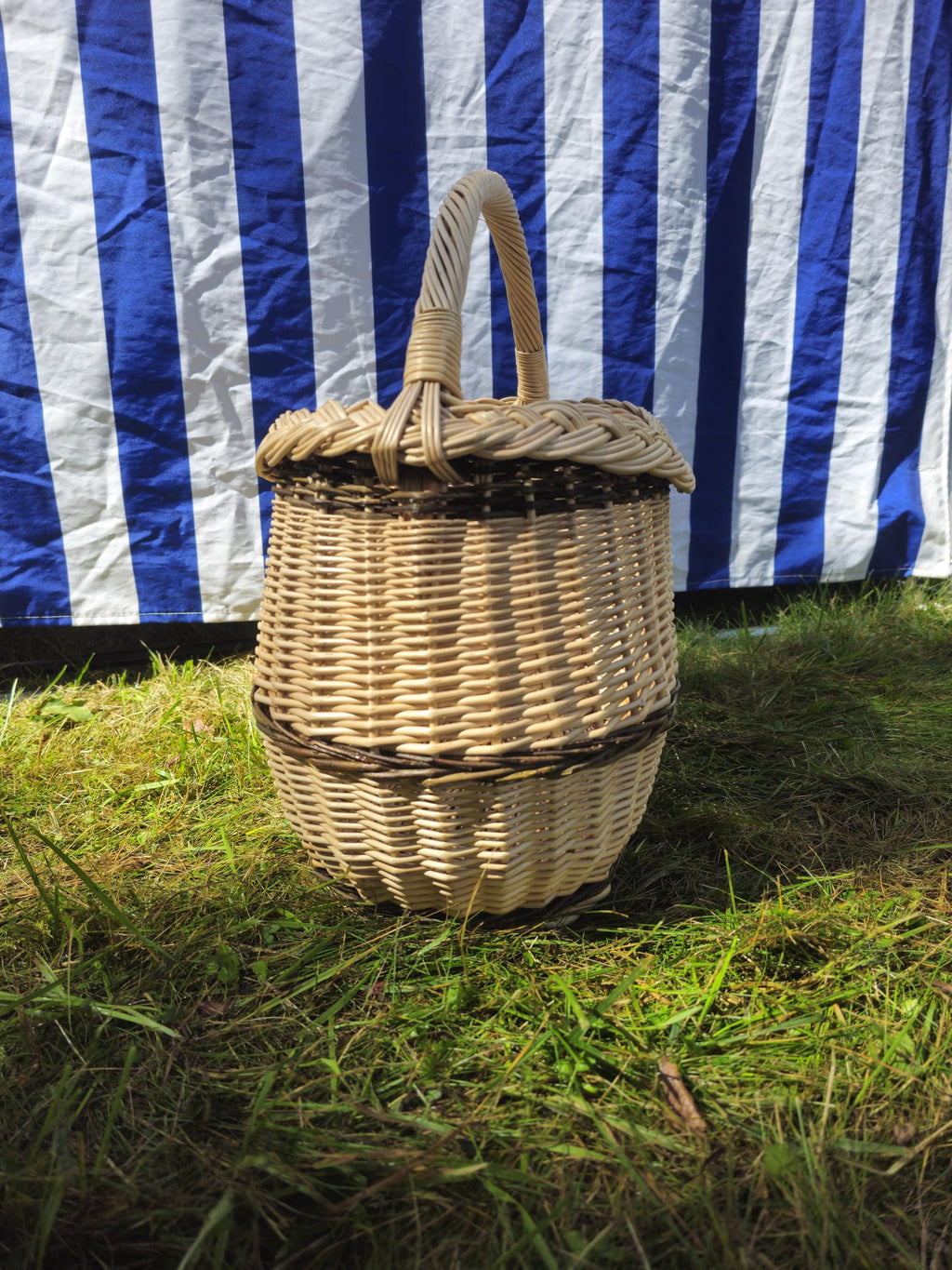Wicker Oval Basket with Braided Rim