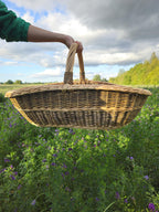 Extra Large Foraging & Rustic Trug Basket