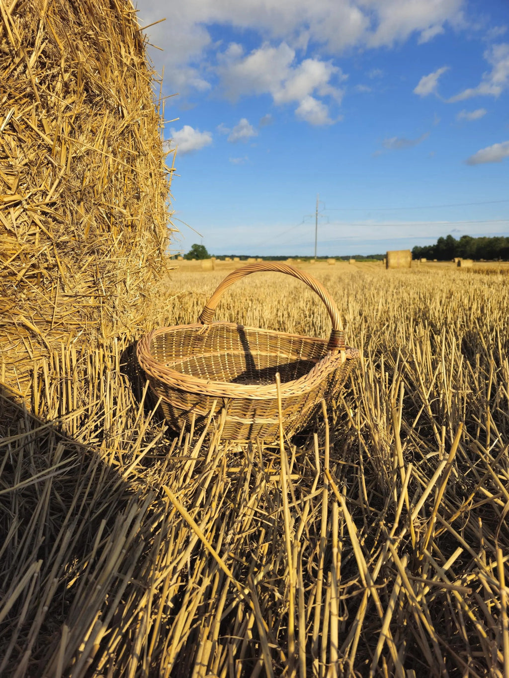 Extra large wicker basket 0004 - NaturelyWoven