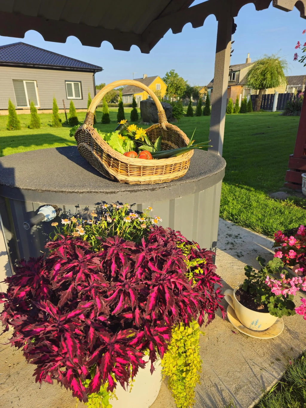 Extra-Large Willow Trug 0027 - NaturelyWoven