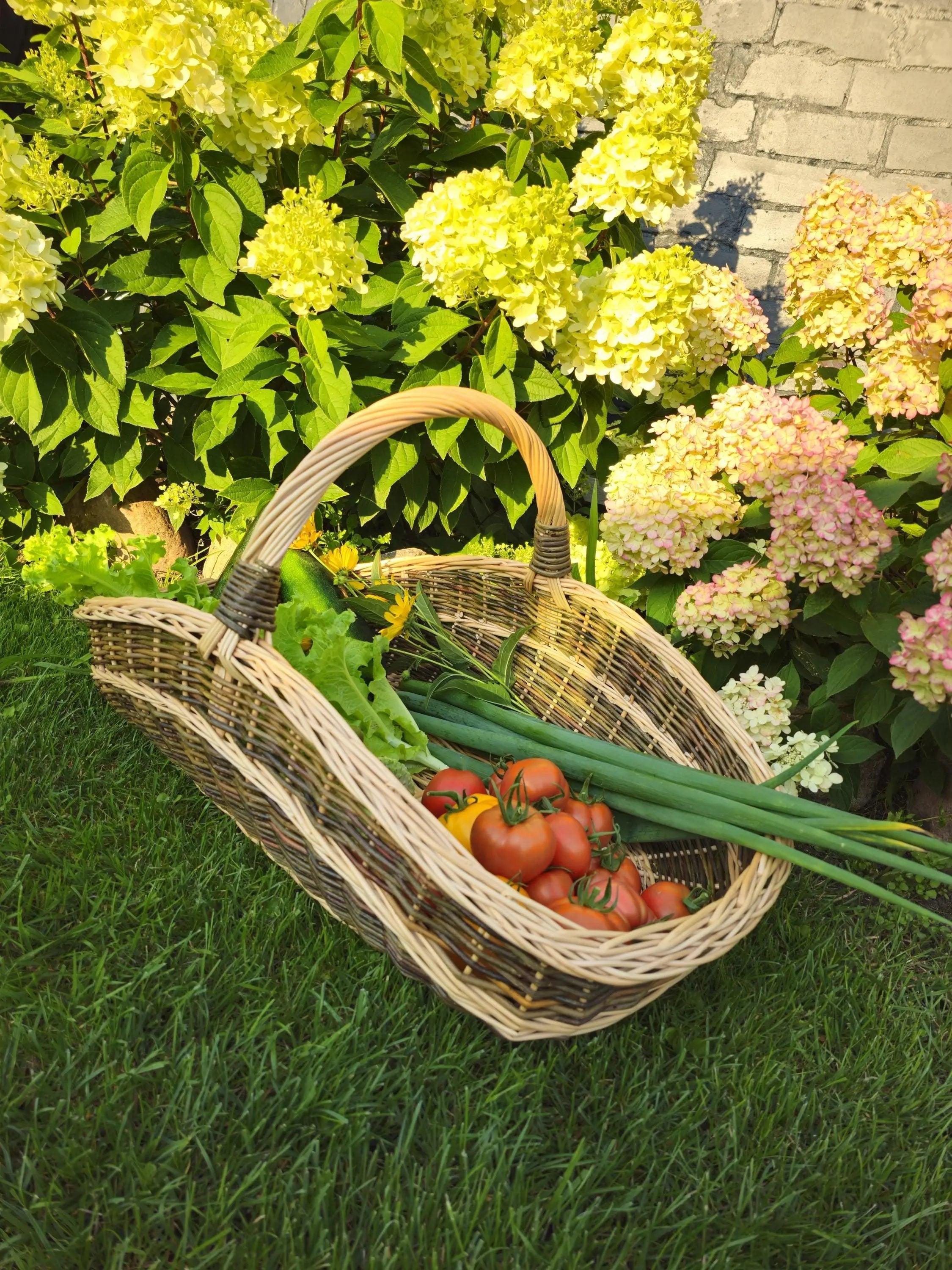 Extra-Large Willow Trug 0027 - NaturelyWoven