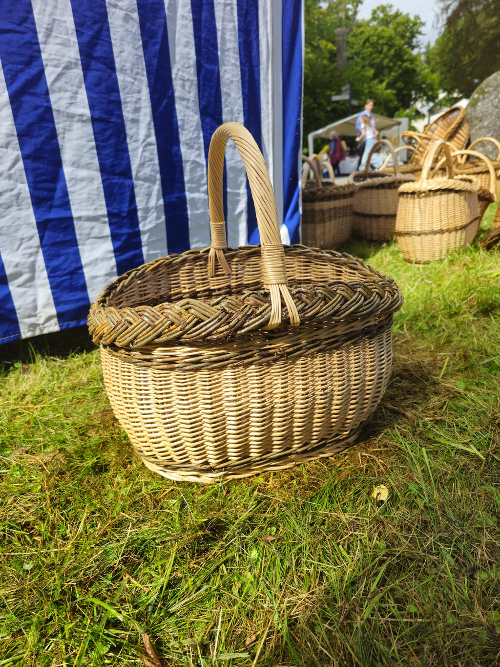 Wicker Oval Basket with Braided Rim