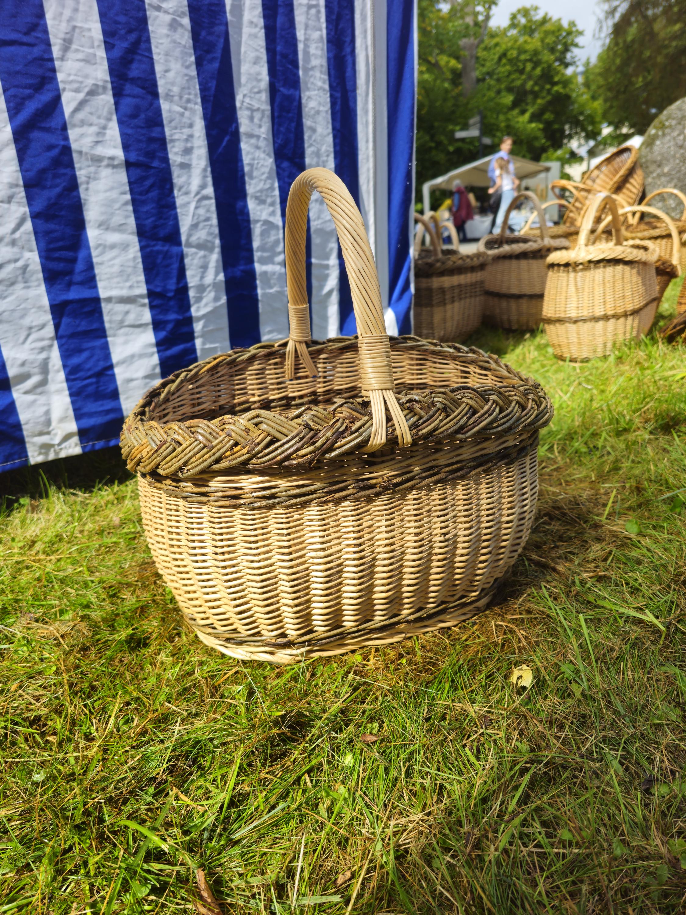 Wicker Oval Basket with Braided Rim