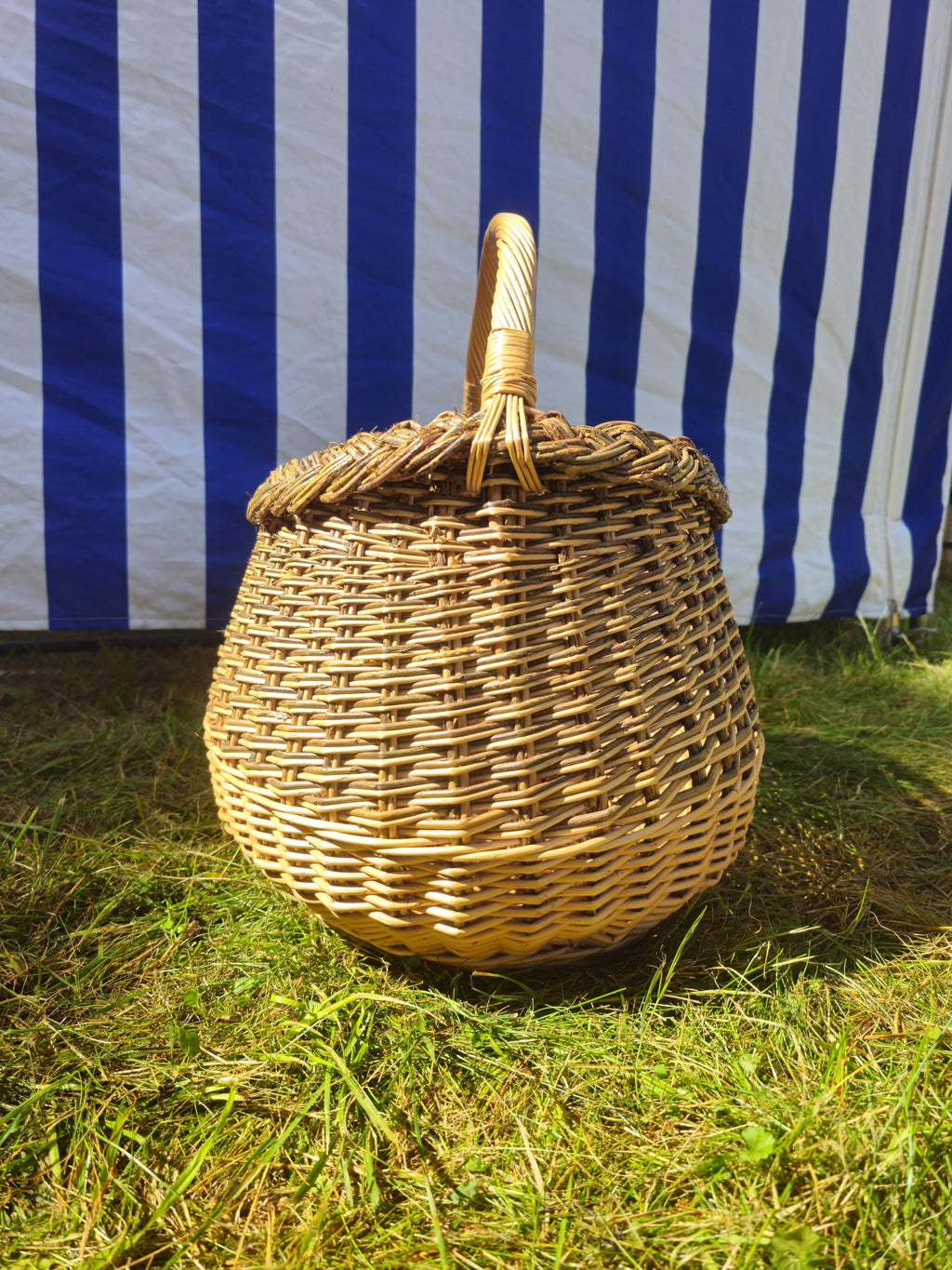 Wicker Mushroom Basket with Braided Rim