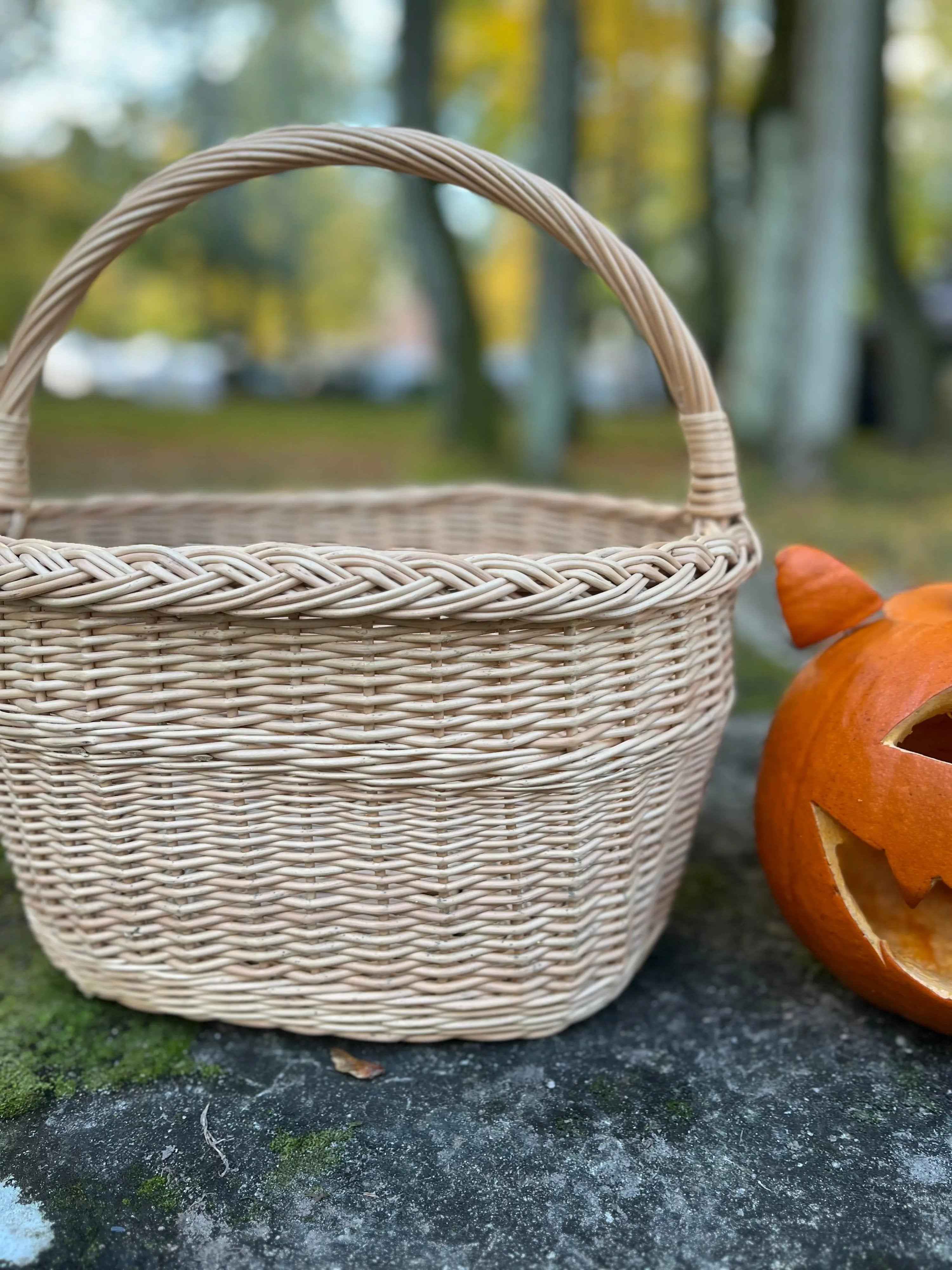 Wicker basket 026b - NaturelyWoven wicker - handmade