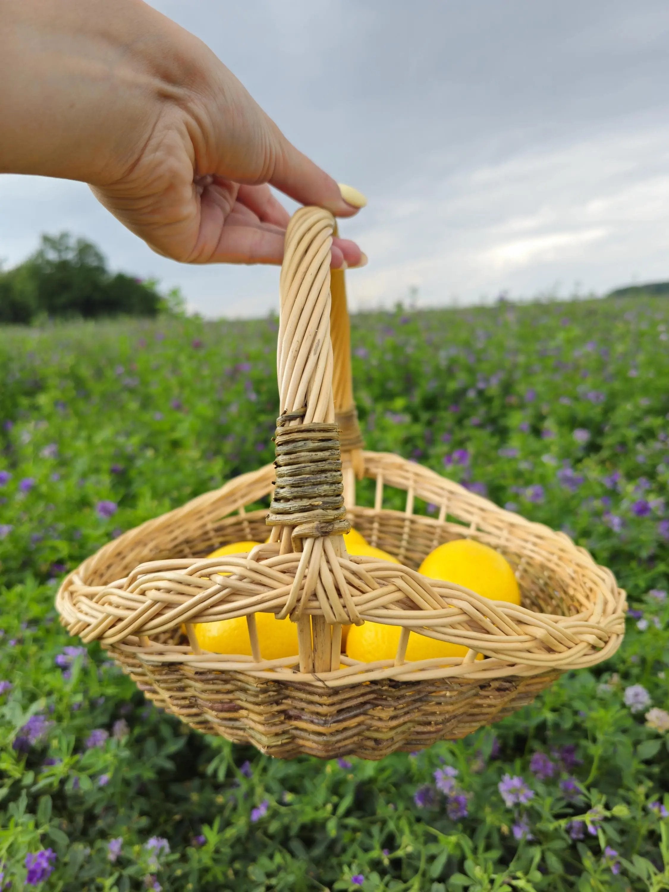 Handmade Wicker Basket – Rustic Willow Trug for Bread Serving & Garden Gathering - NaturelyWoven