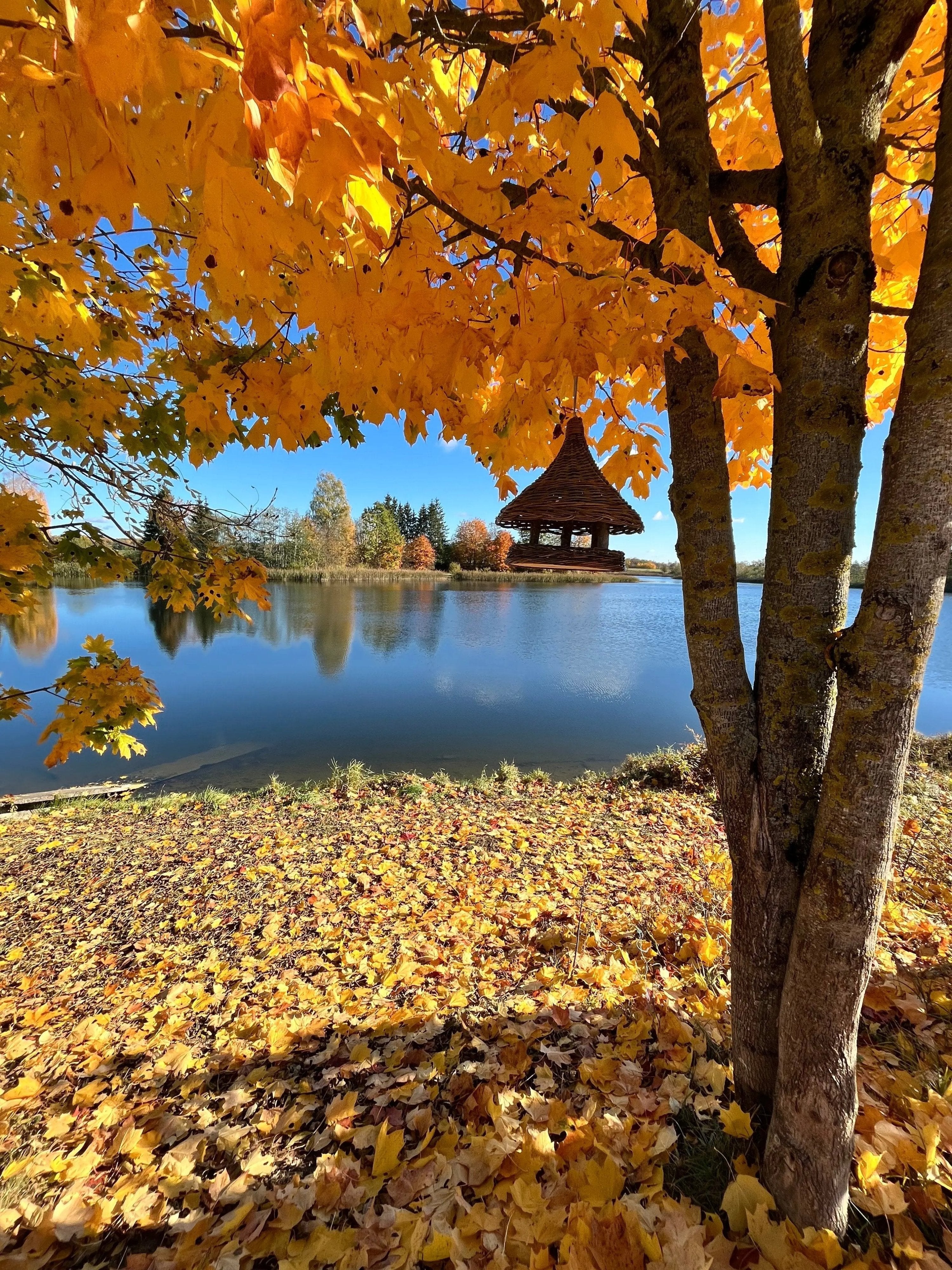 Wicker Bird Feeder - Hanging Willow Roof Garden Feeder - NaturelyWoven