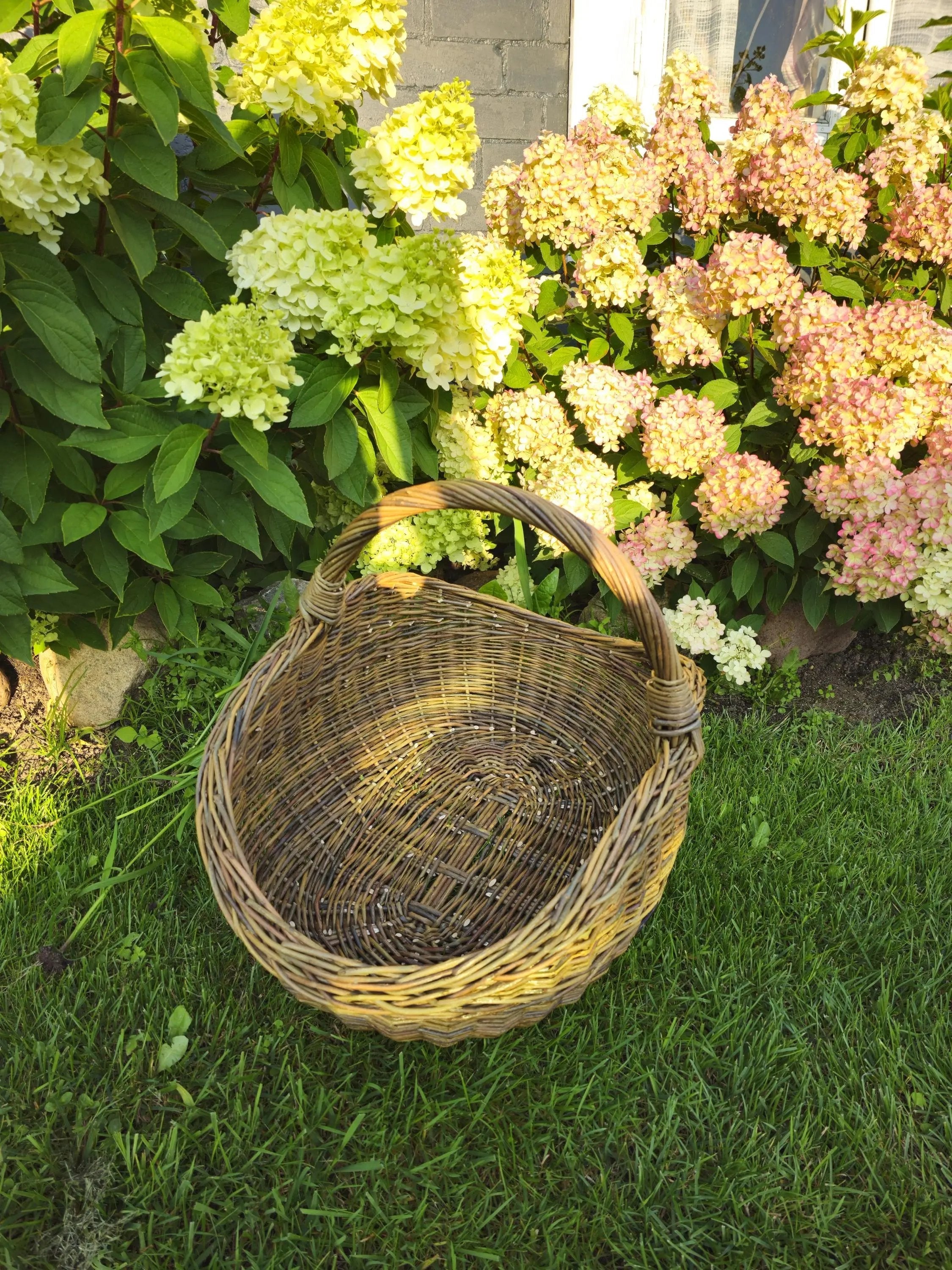 Handwoven Wicker Basket - Natural Foraging Basket for Harvesting & Mushroom Picking - NaturelyWoven