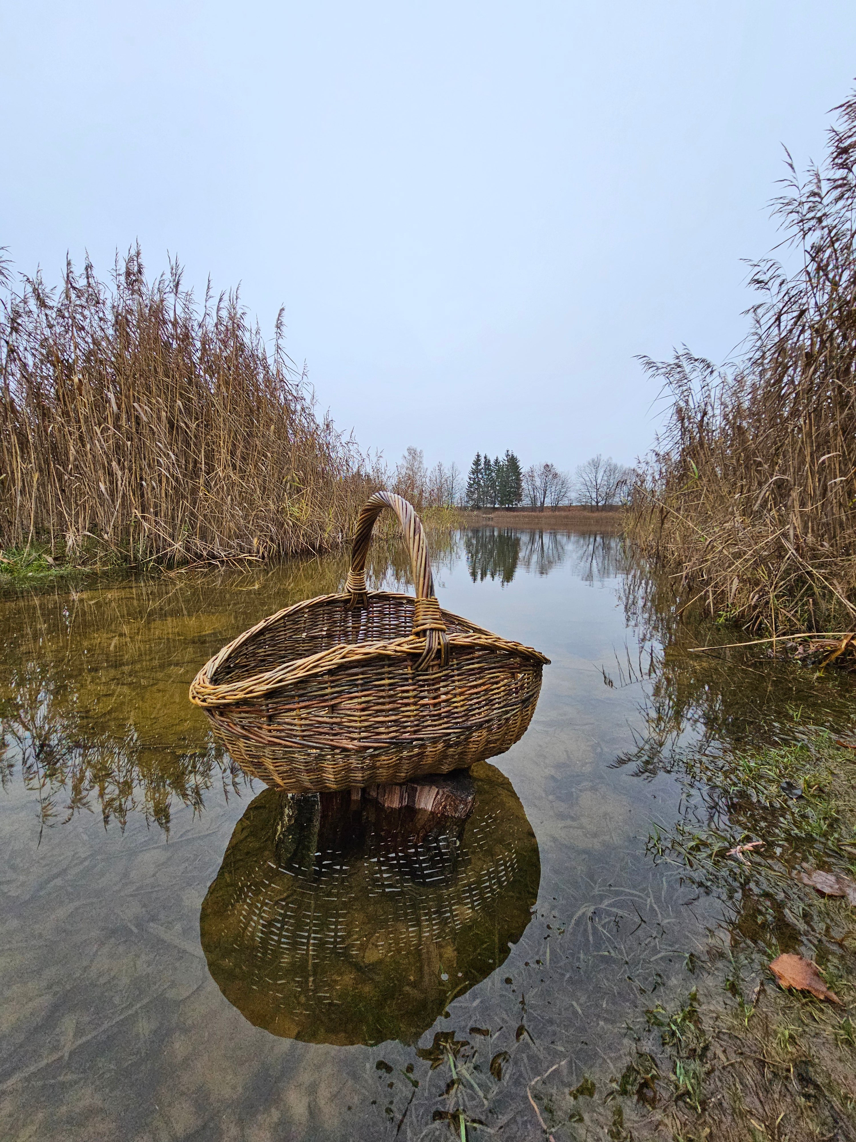 Handwoven Wicker Basket - Natural Foraging Basket for Harvesting & Mushroom Picking - NaturelyWoven