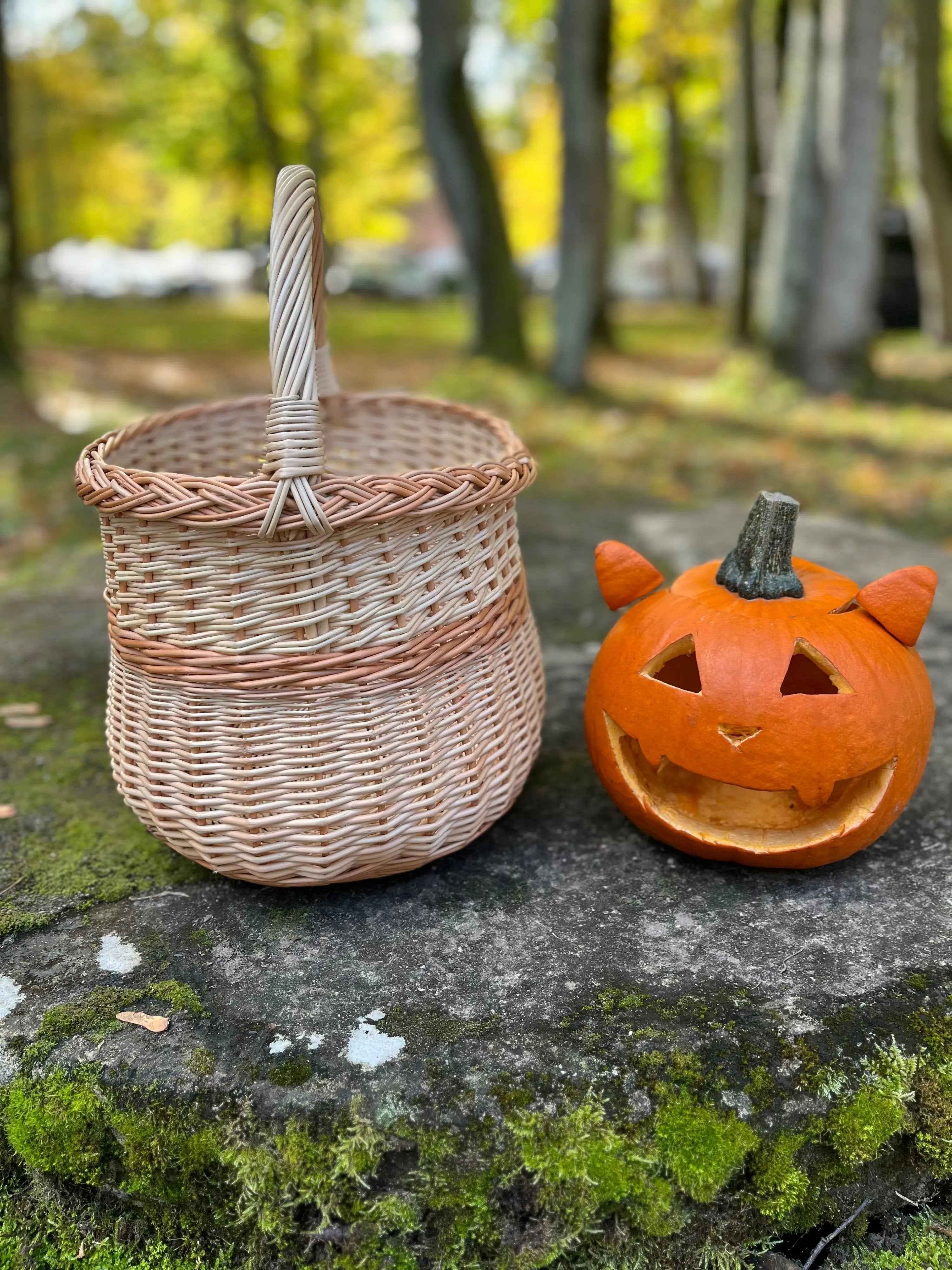 Wicker basket 046b - NaturelyWoven wicker - handmade