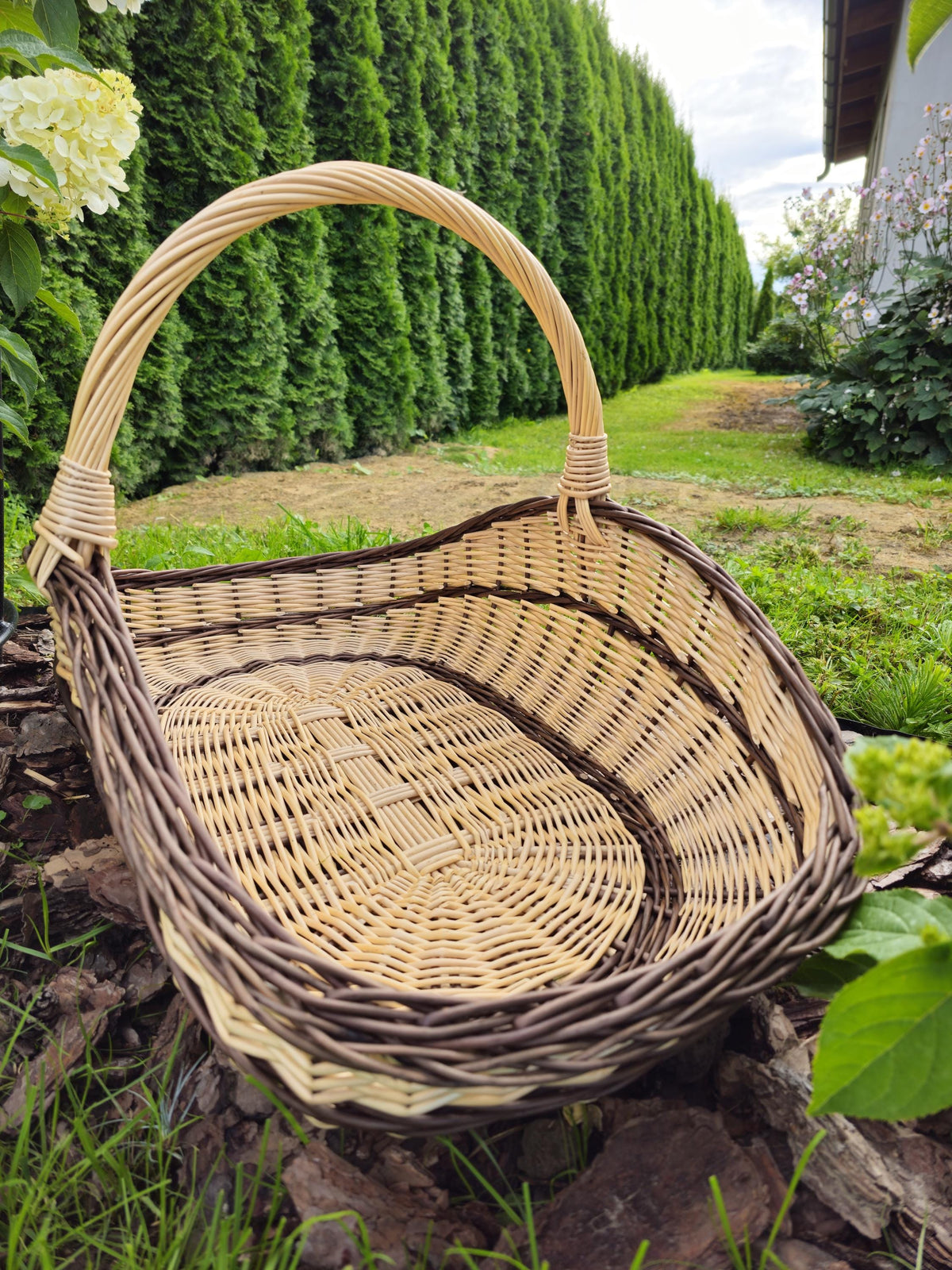 Large wicker garden trug with a wide open top and oval base on the grass beside a green hedge in a summer garden.