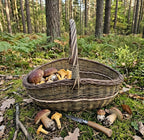Large Oval Willow Trug