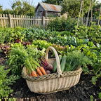 Shallow Willow Garden Trug