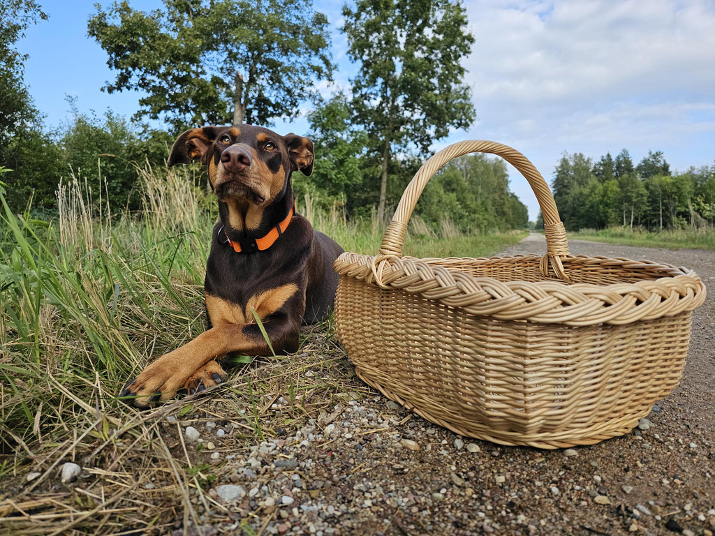 Shallow Willow Garden Trug