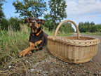 Shallow Willow Garden Trug