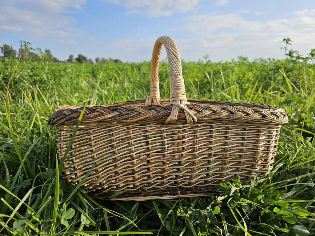 Shallow Willow Garden Trug