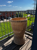 Display Basket 001r